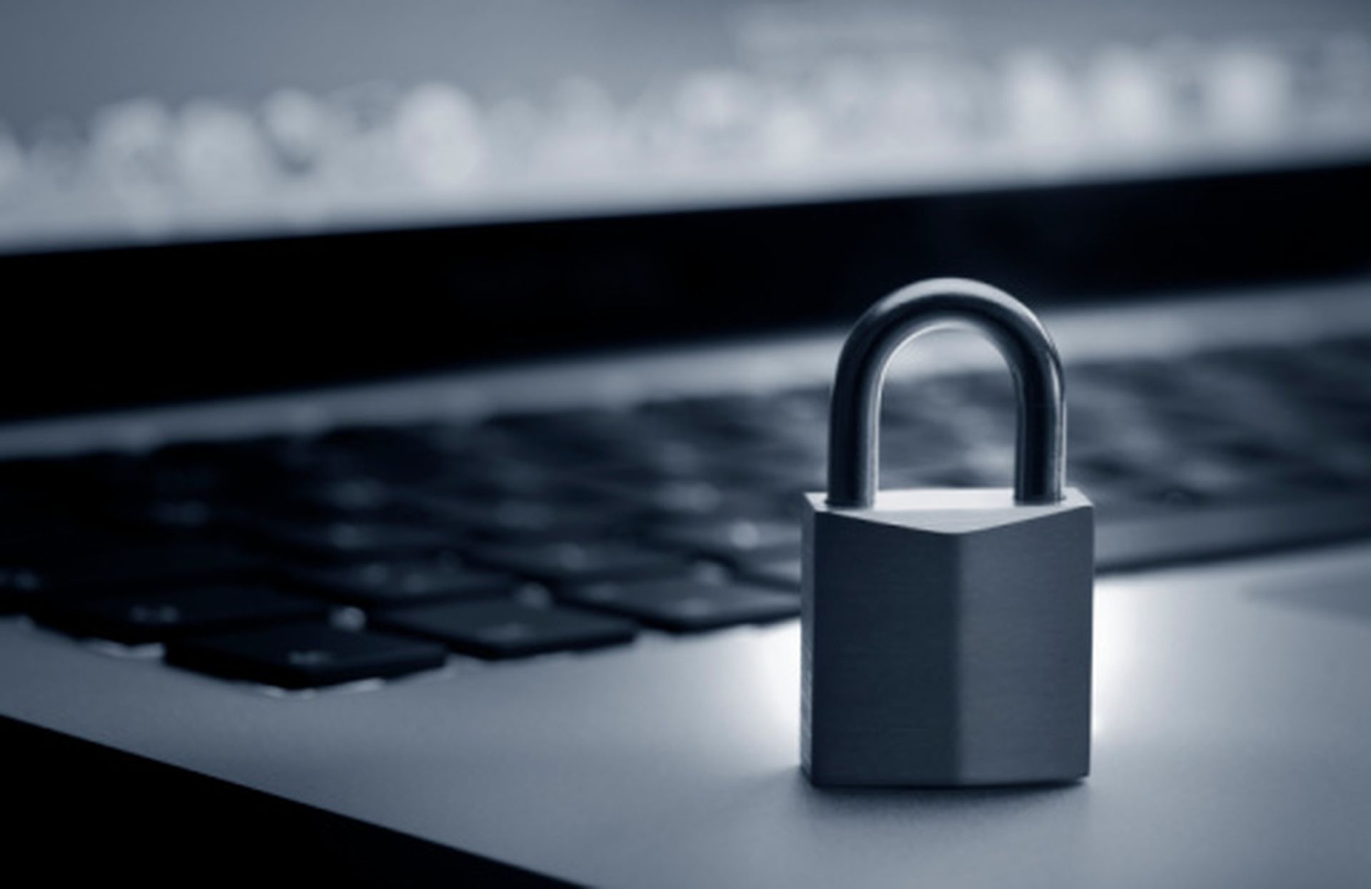 Study: Organizations assailed by cyber attacks, 15 percent are targeted