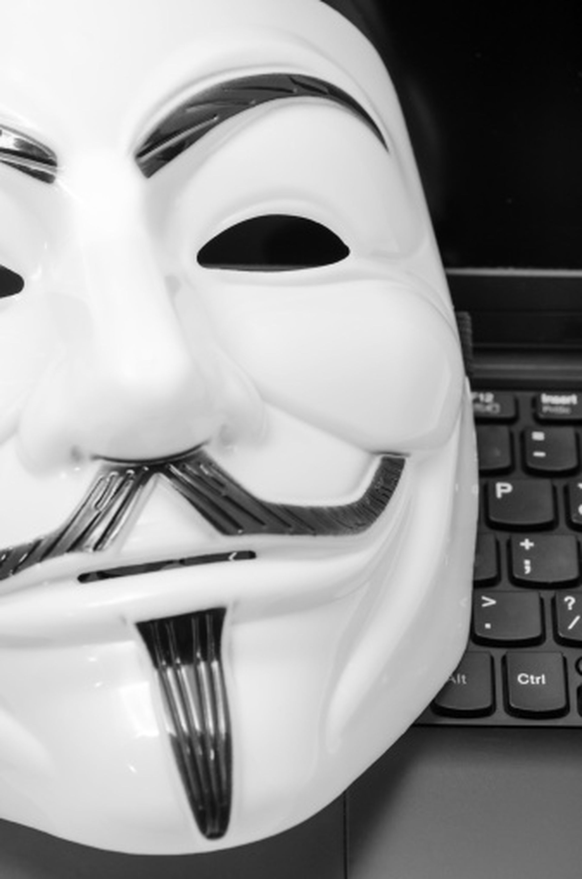Information for FEMA contacts was leaked by hacker collective Anonymous in response to U.S. privacy.