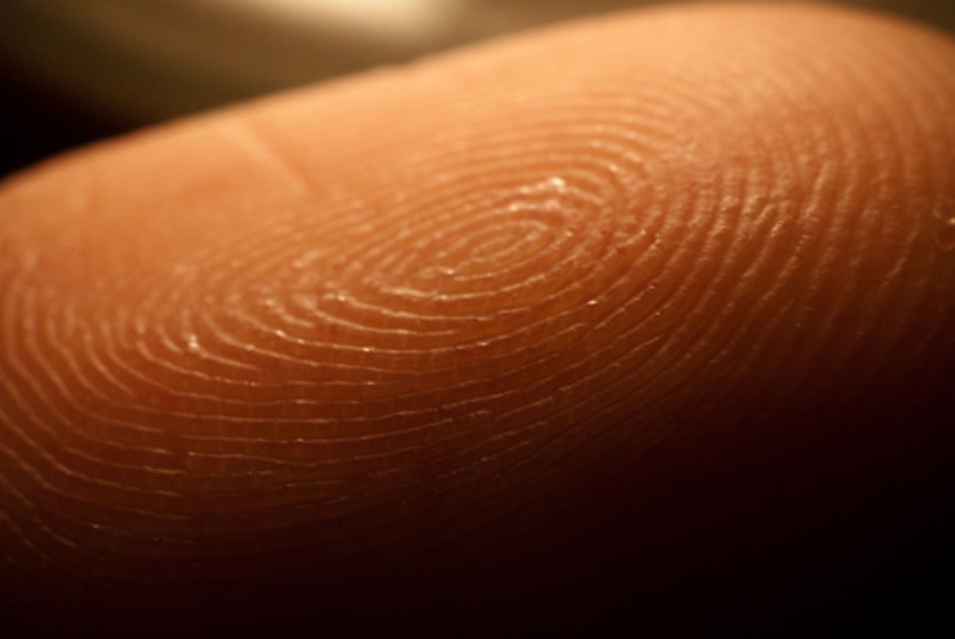 The Chaos Computer Club (CCC) became the first group to bypass Apple's Touch ID.