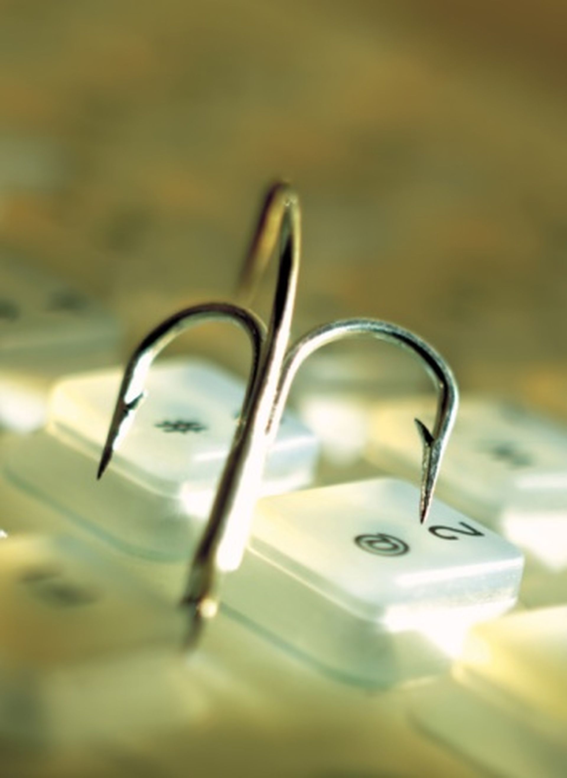 The fairly convincing phishing scam is being hosted on a compromised EA Games server.