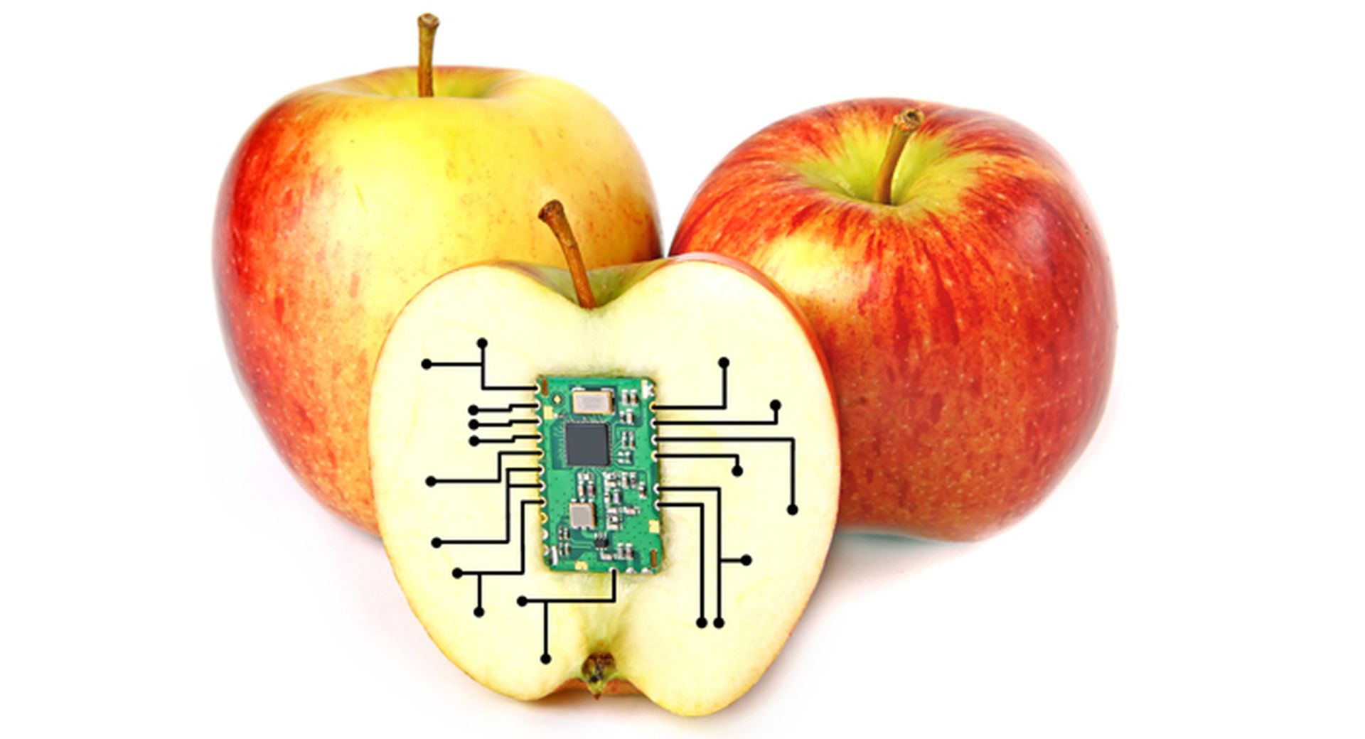 apple bug