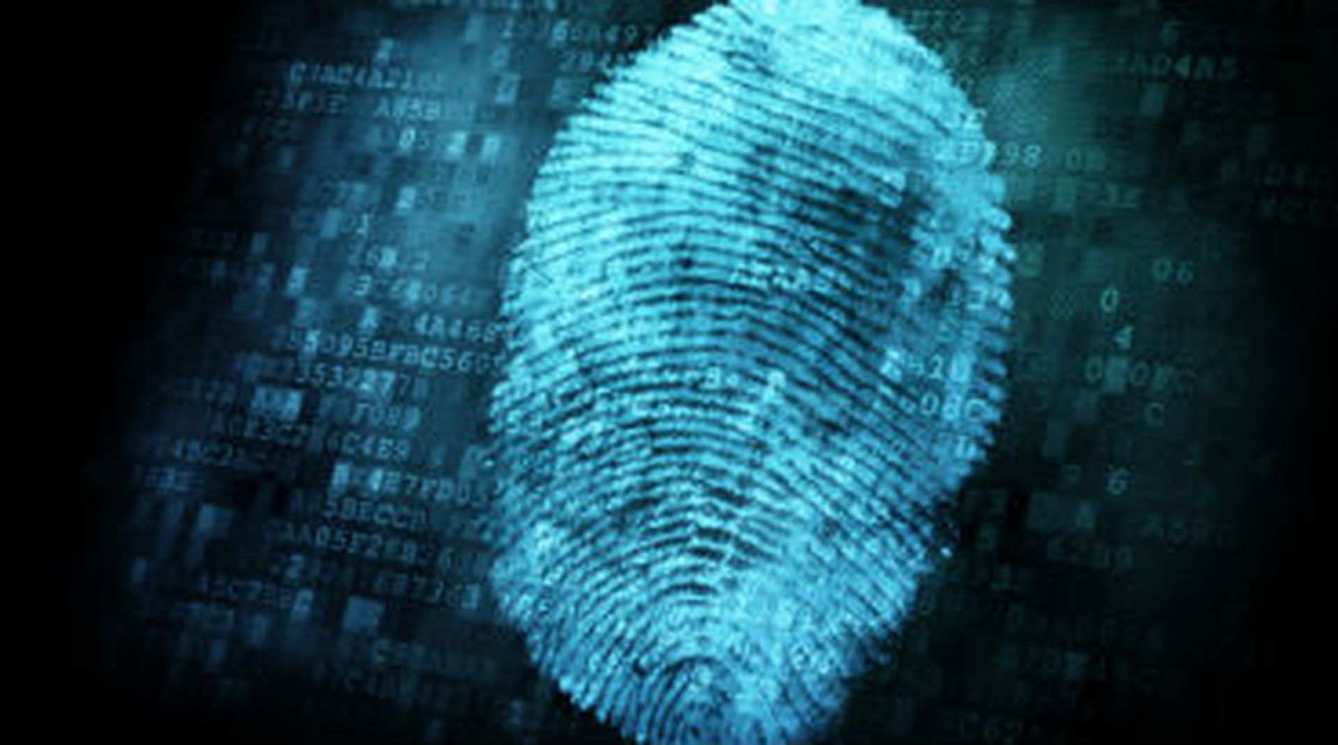 Apple's recently announced iPhone 5S Touch ID is designed to keep intruders out of phone.