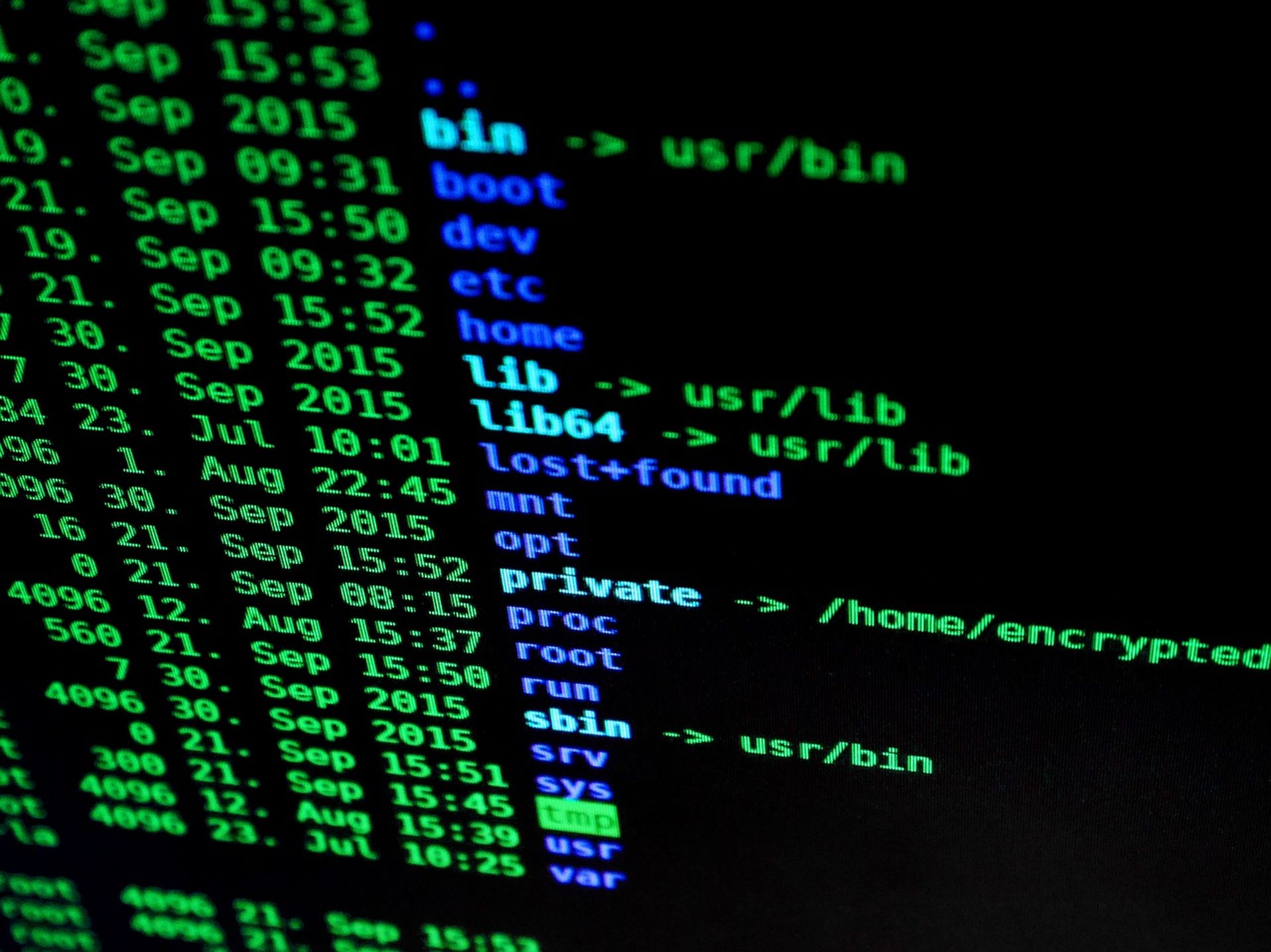 cyber-security