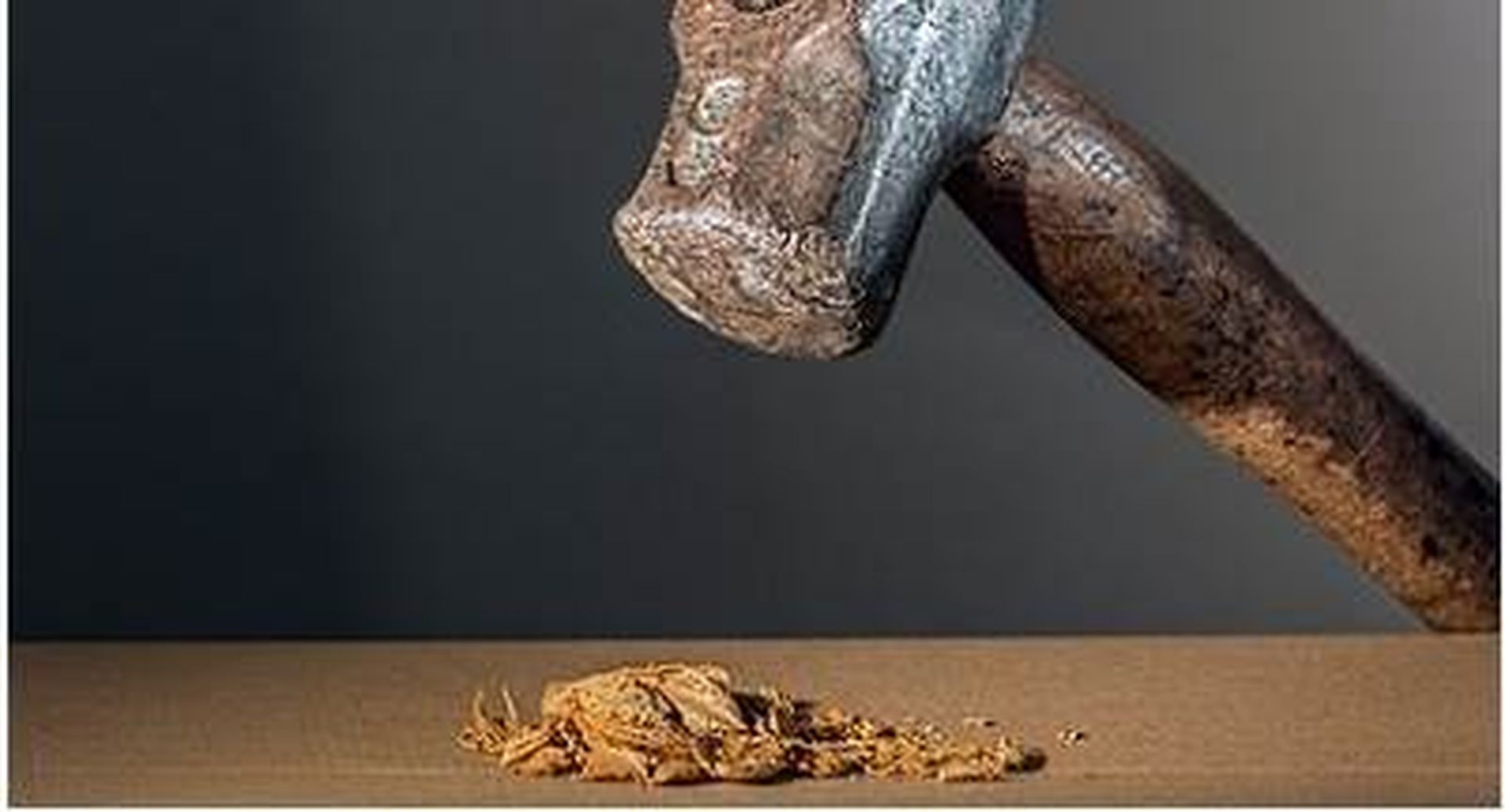 hammer_1325120