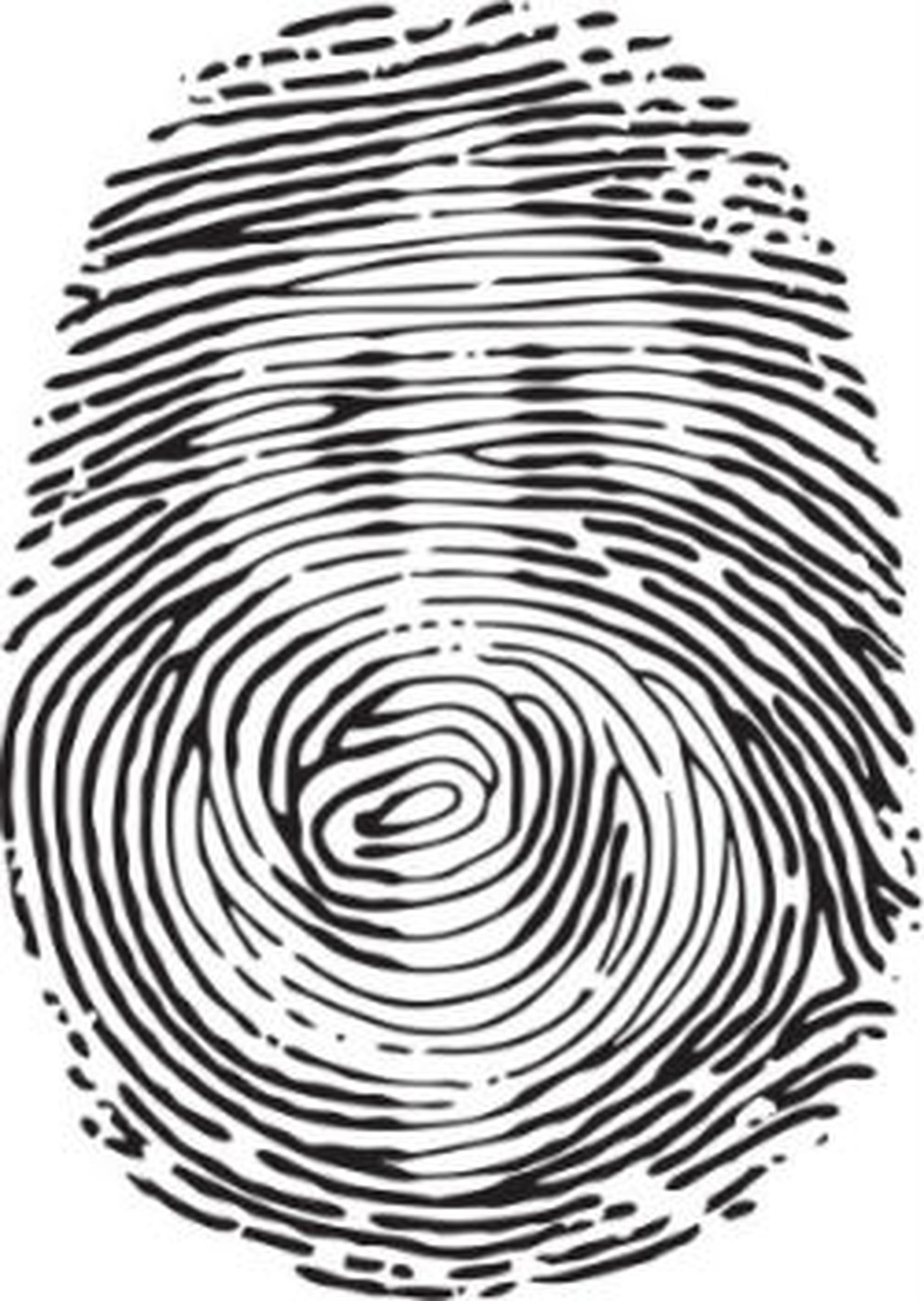 Apple CEO Tim Cook addressed using the Touch ID to expand the mobile payments market on Monday.