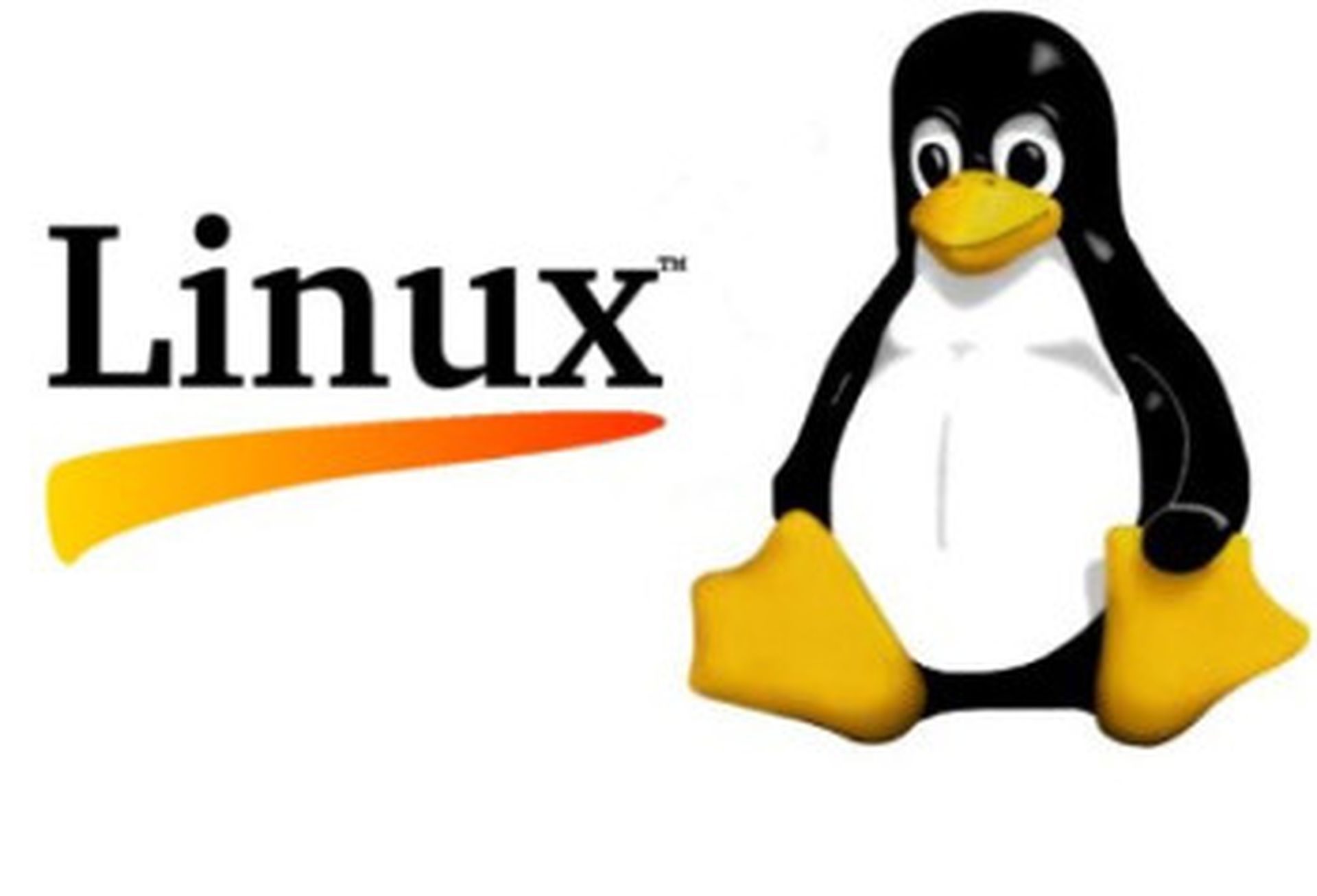 Shellshock vulnerabilities exploited in the wild