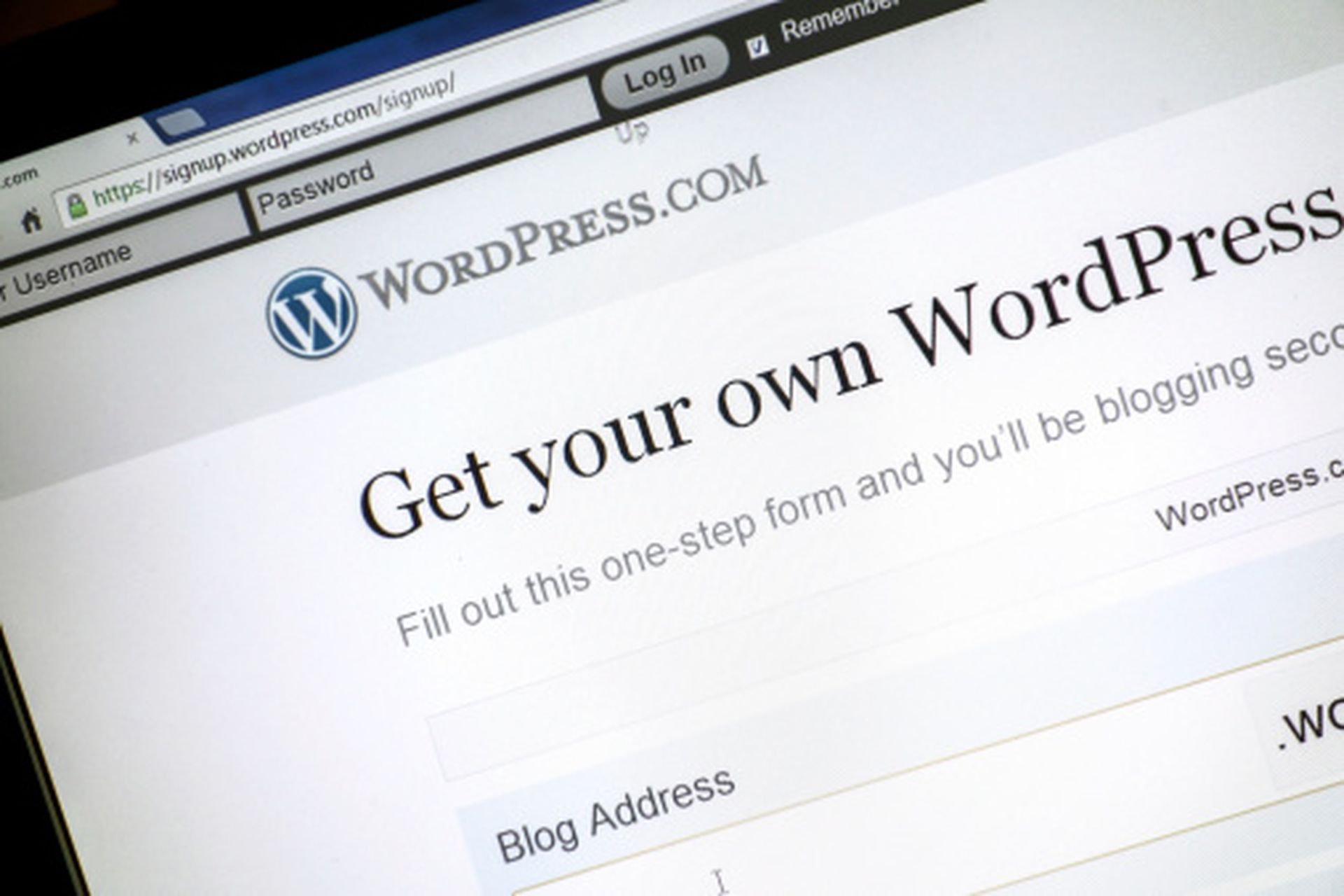 Majority of WordPress users not backing up, survey indicates