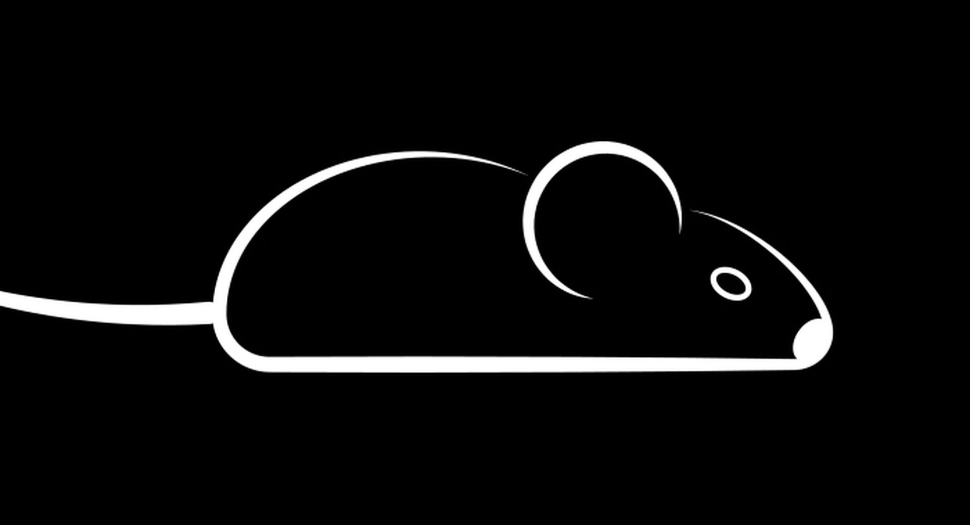 njRat