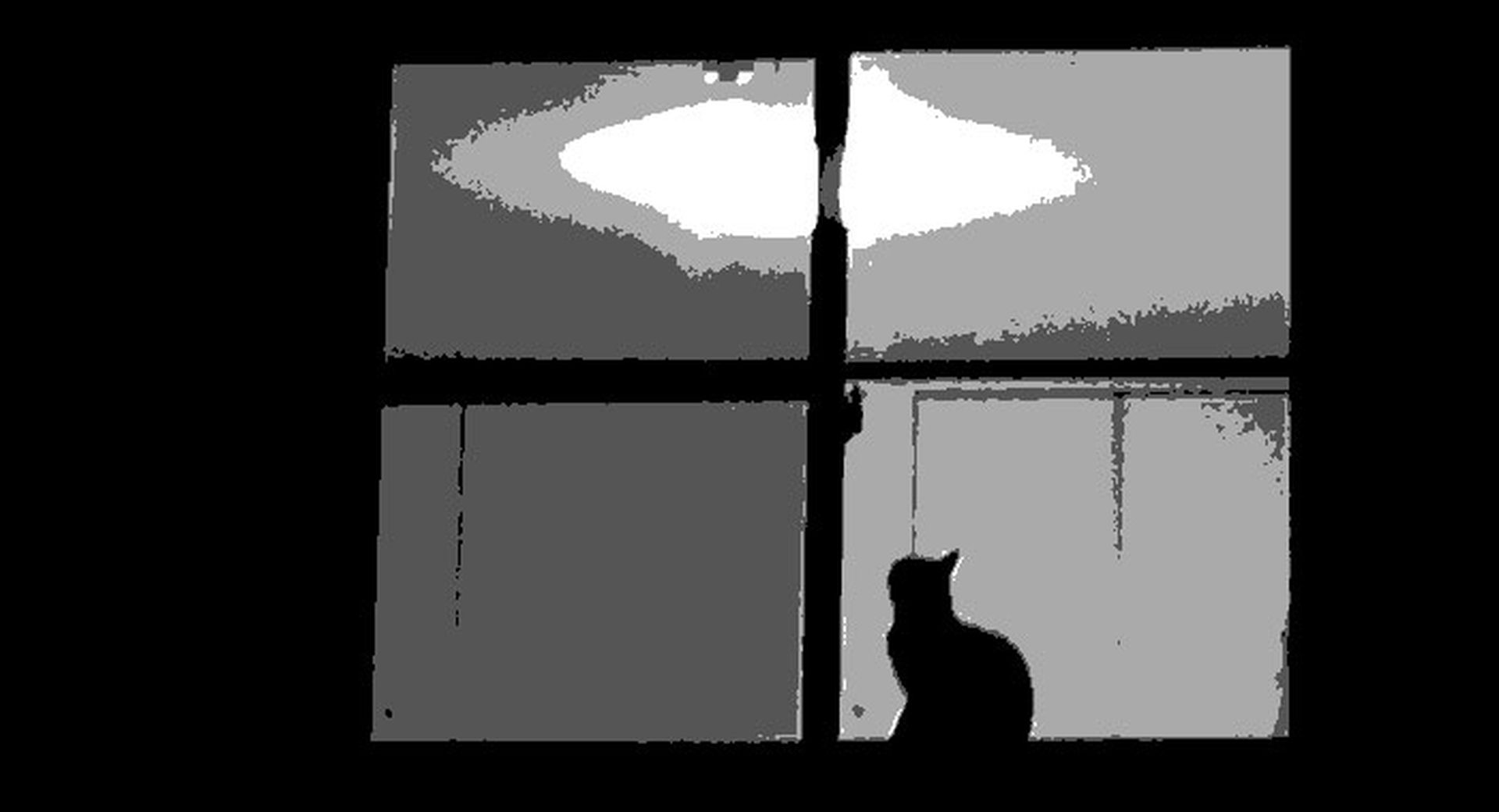 sliding window cat night