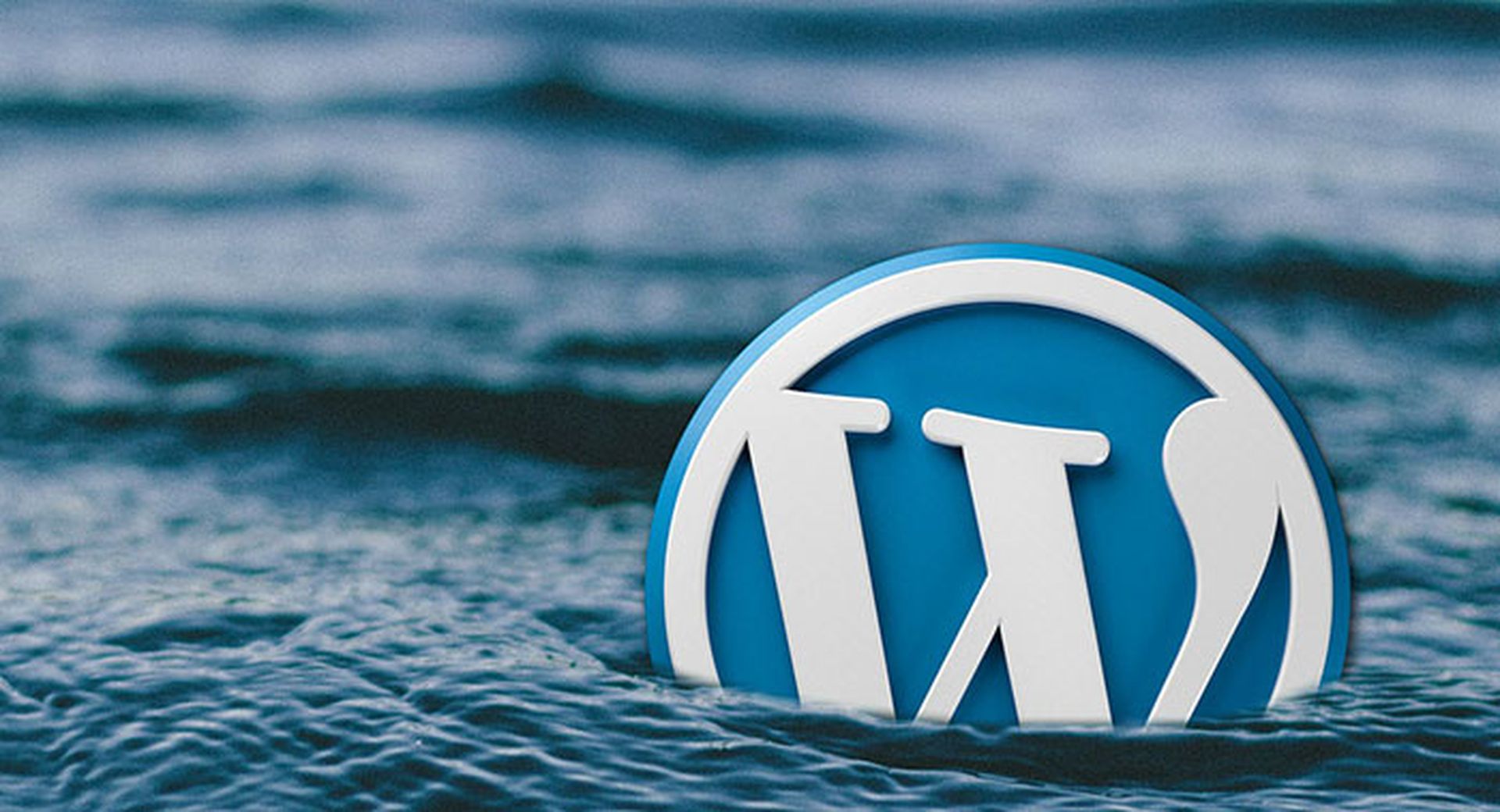 Wordpress logo sinking