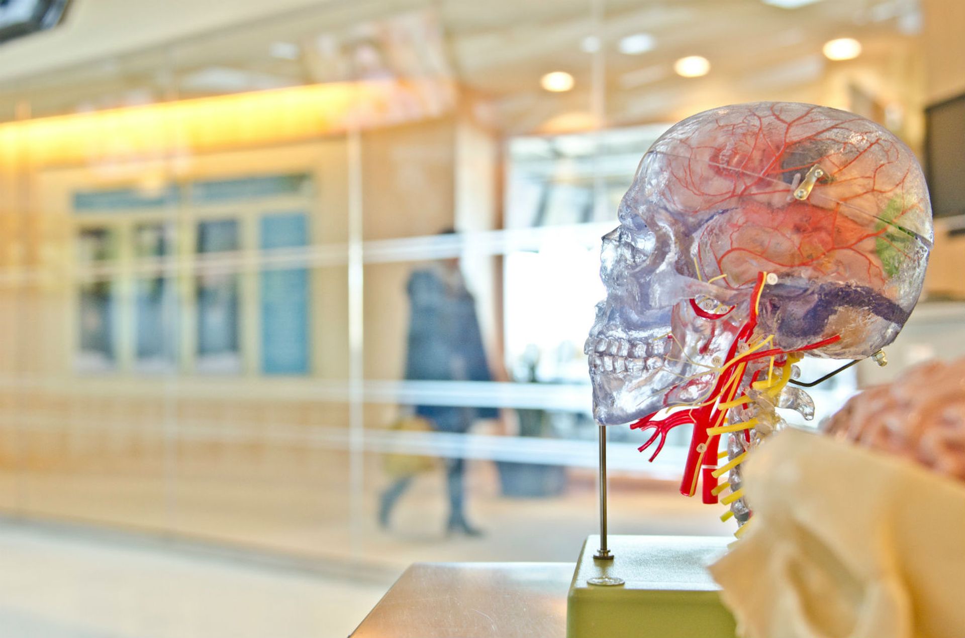How to leverage artificial intelligence.