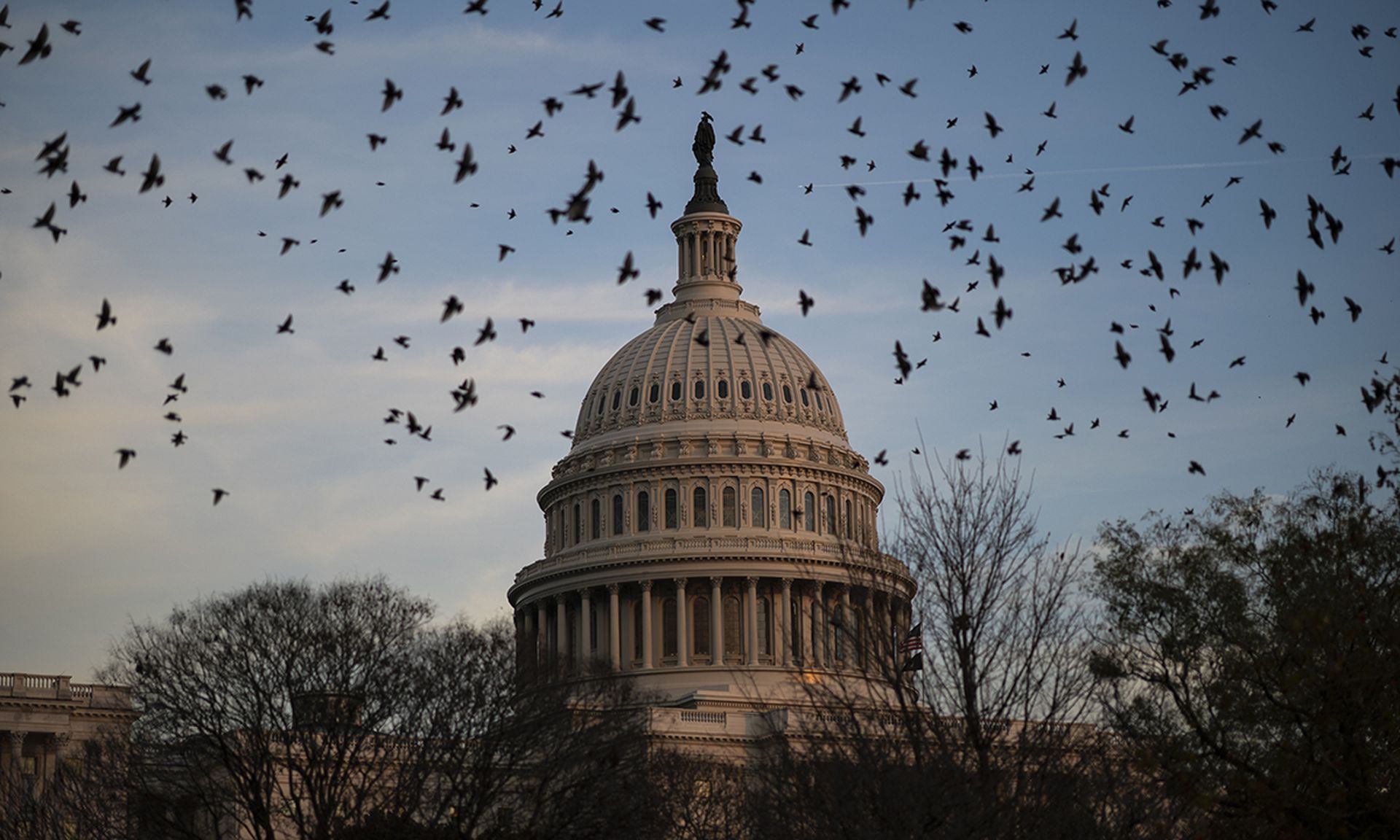 A flock of birds flies near the U.S. Capitol at dusk on Dec. 2, 2021, in Washington. The House passed the annual National Defense Authorization Act in a 360-40 vote on Tuesday. (Photo by Drew Angerer/Getty Images)