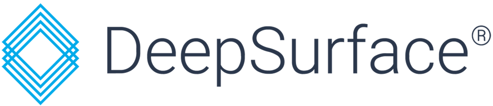 Deep Surface logo