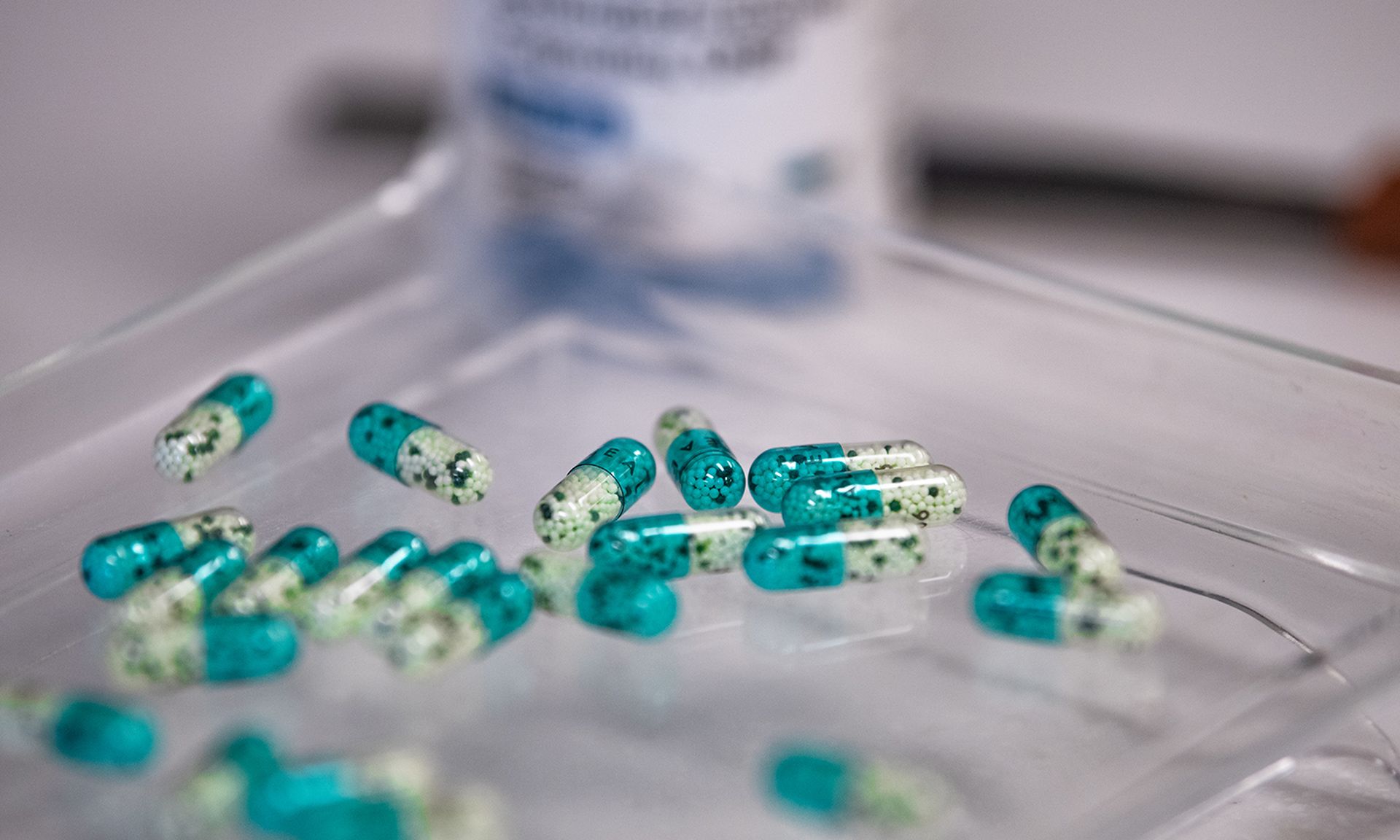 Pills lay on a counting tray at a pharmacy