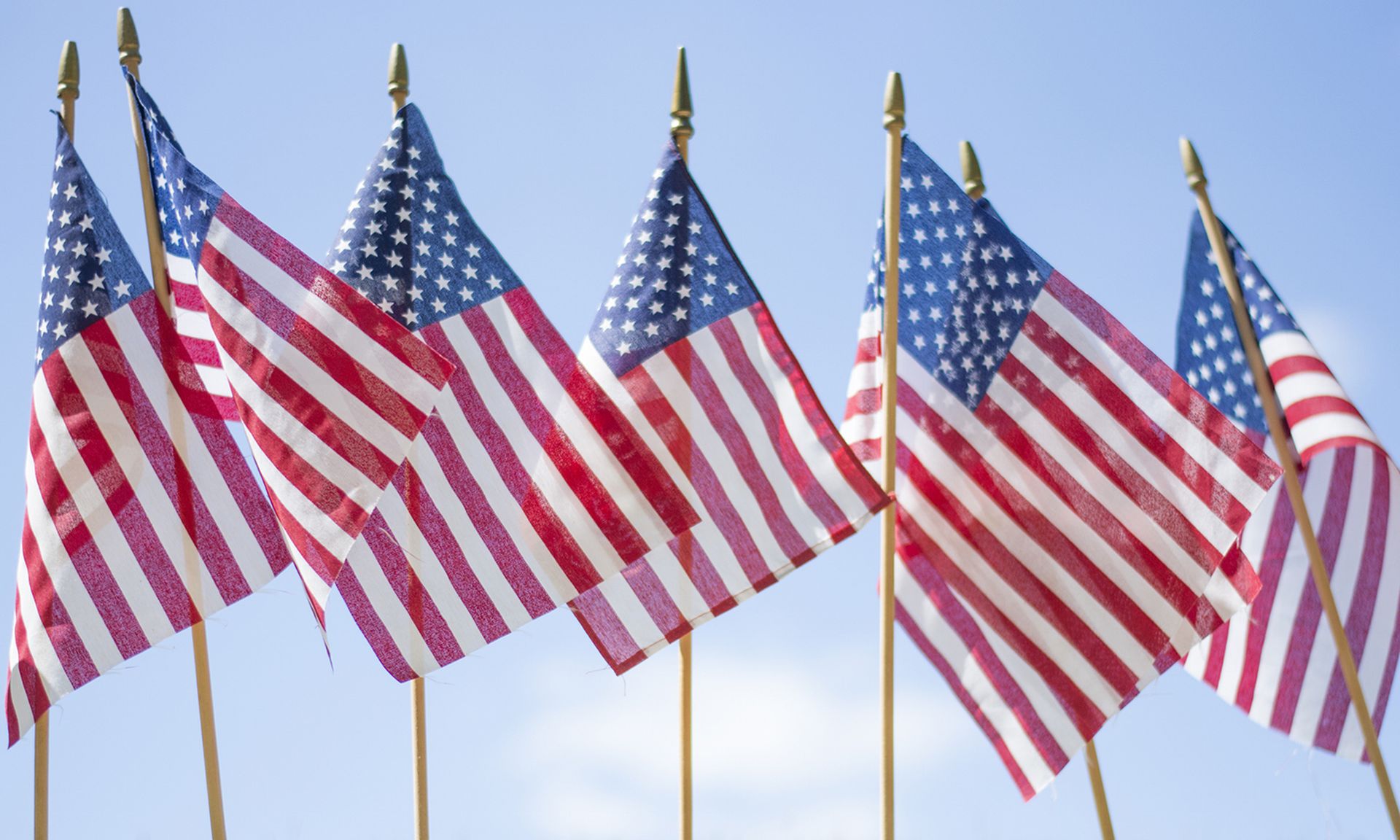 Several small American flags on a green lawn.