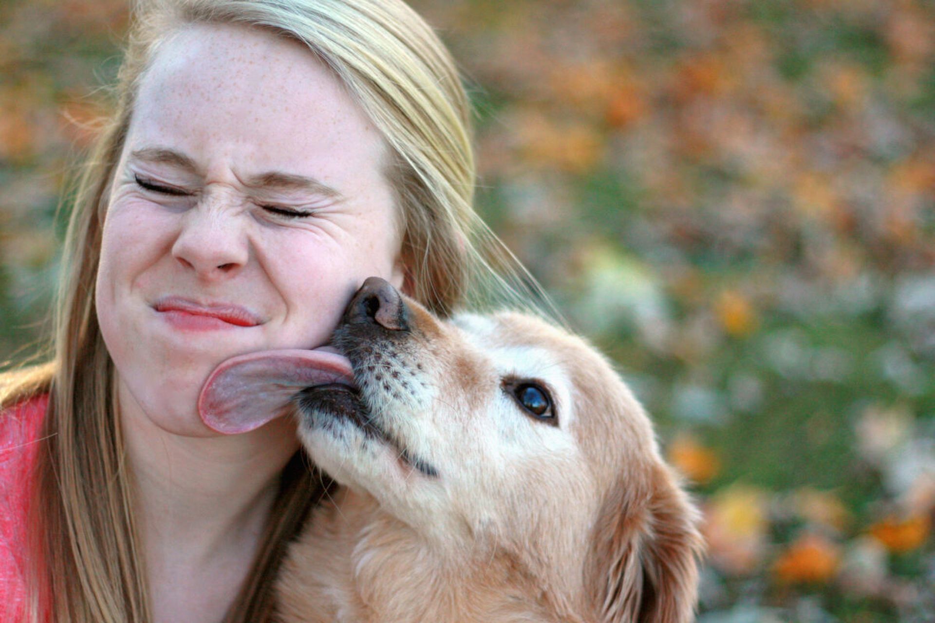 Cry havoc! And let loose the dogs of crypto! New CrowdStrike research details a cryptojacking campaign (called &#8220;Kiss-a-Dog&#8221;) targeting Docker and Kubernetes cloud servers around the world. (Image credit: Melissaperryphtography via Getty).