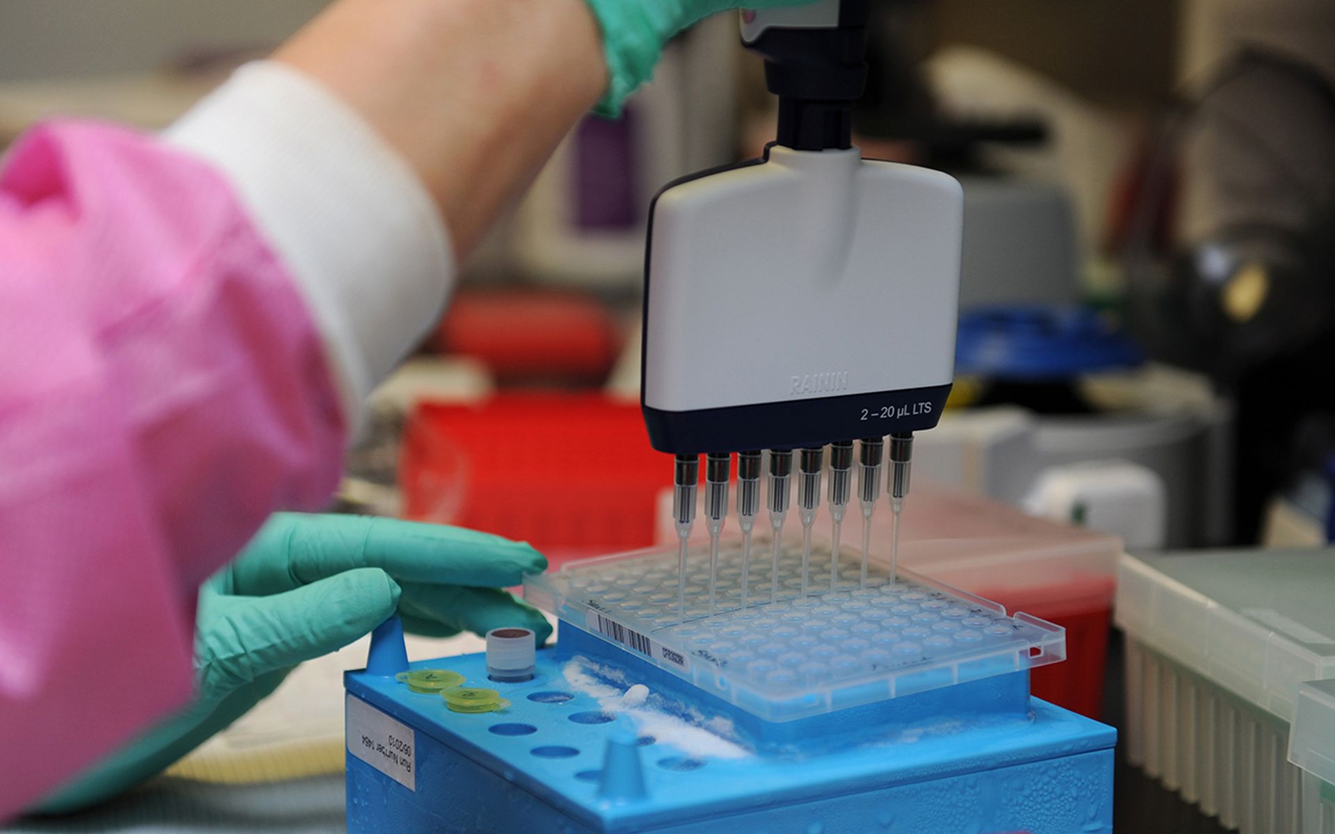 DNA testing in a lab