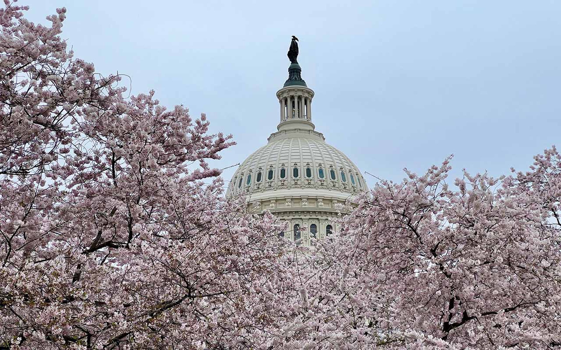 US Capitol dome