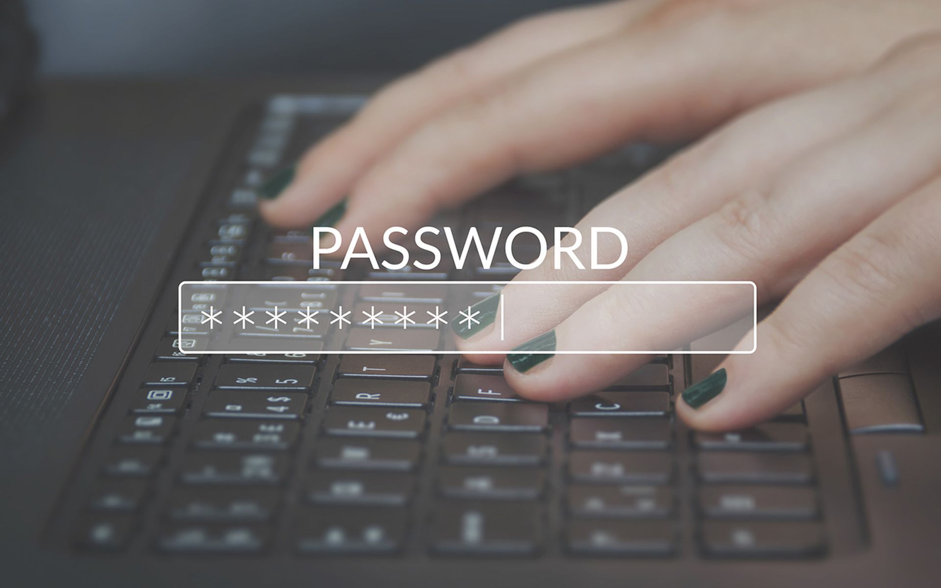 Password Box in Internet Browser