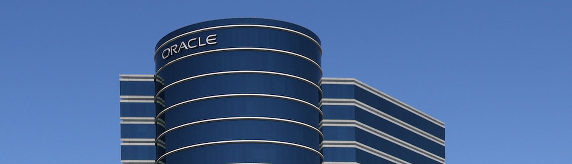 REDWOOD SHORES, CALIFORNIA &#8211; JUNE 13: A Canada goose walks on a path outside of Oracle headquarters on June 13, 2022 in Redwood Shores, California. Oracle reported fourth-quarter earnings with revenue of $11.8 billion, a 5 percent increase. (Photo by Justin Sullivan/Getty Images)