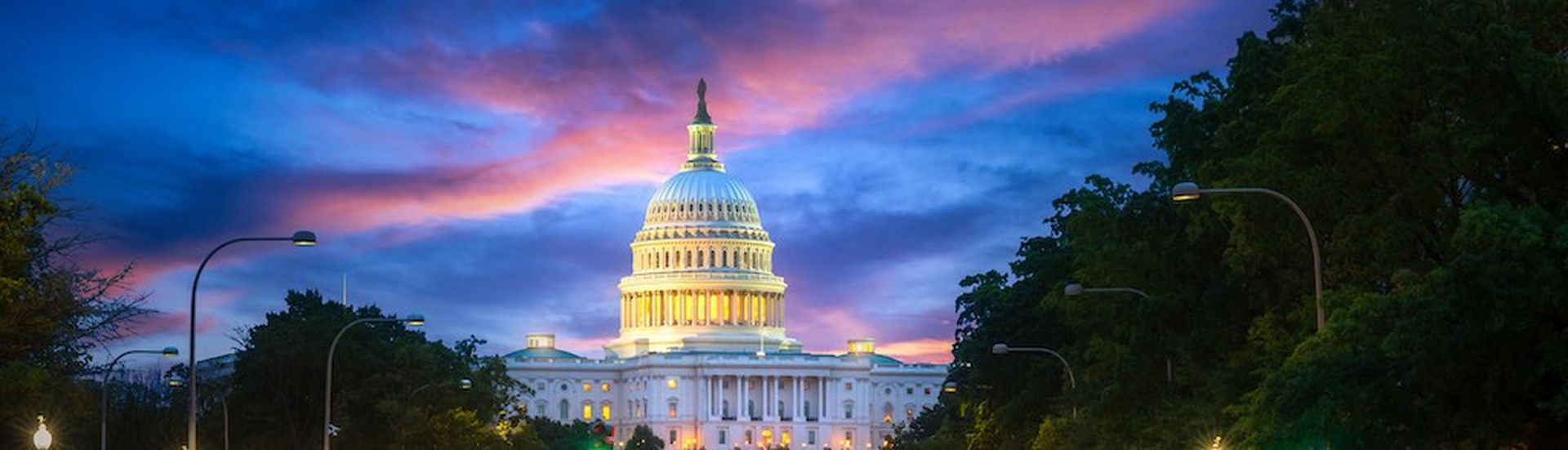 US House forbids staff members from using AI chatbot Microsoft Copilot ...