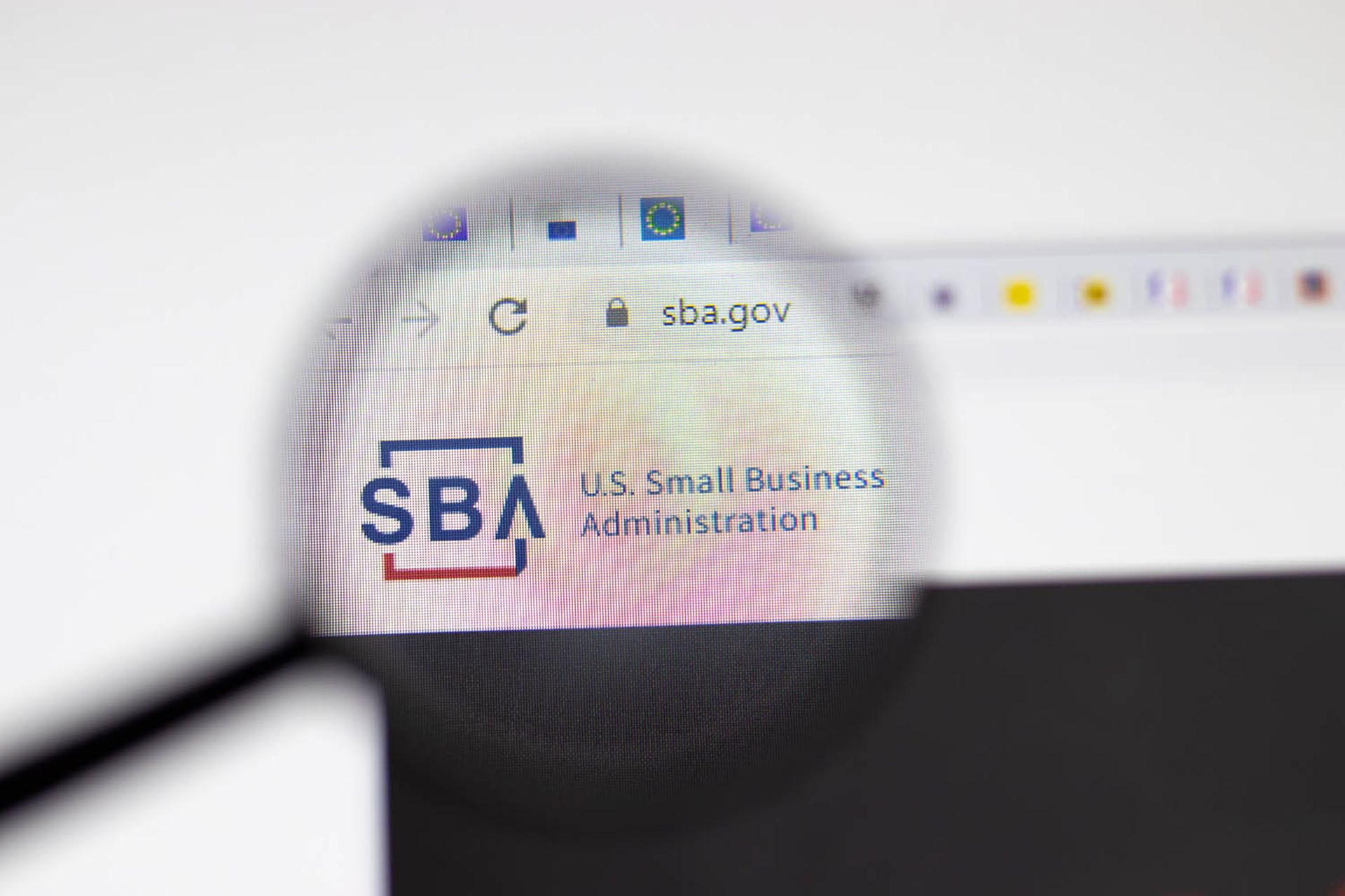 Small Business Administration