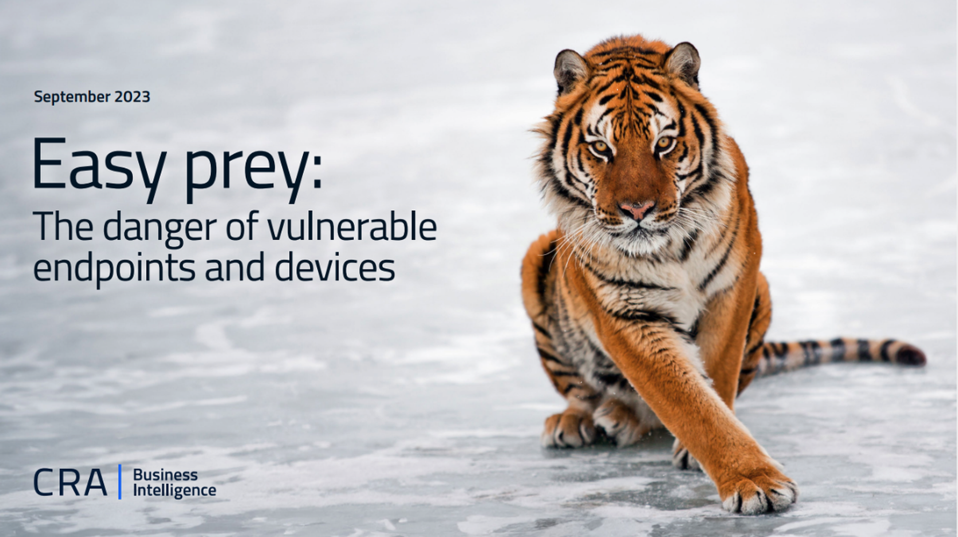 Easy prey: The danger of vulnerable endpoints and devices