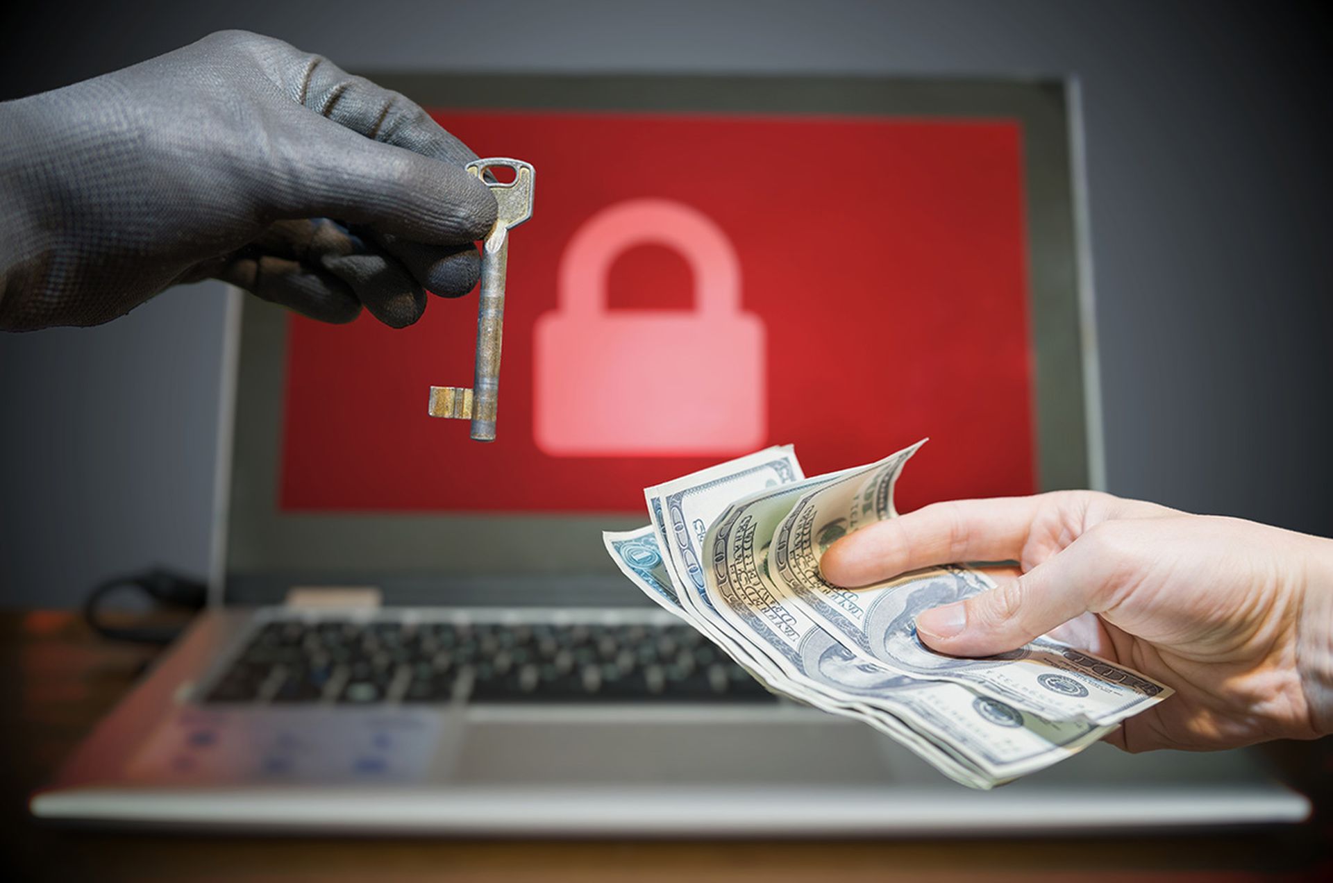 A hacker offers a key to unlock encrypted data for money.