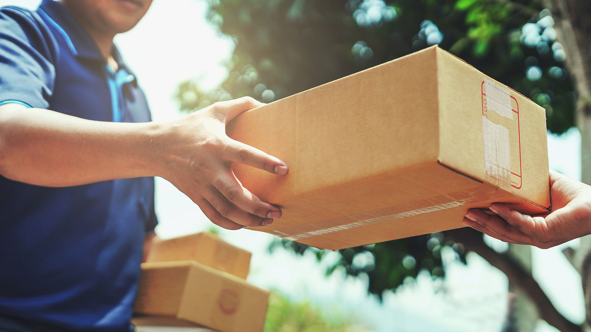 Delivery man delivering holding parcel box to customer