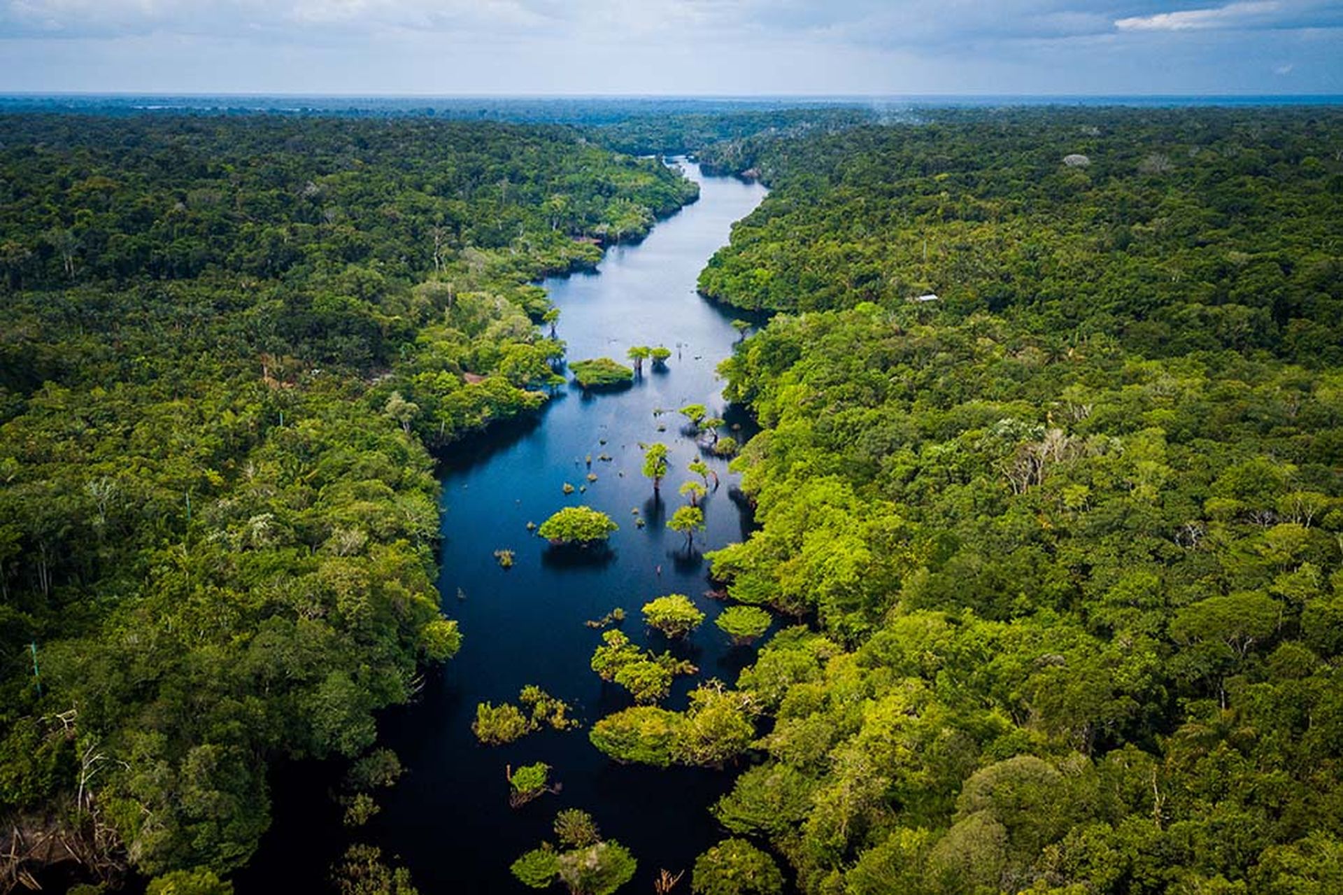 Amazon Rainforest