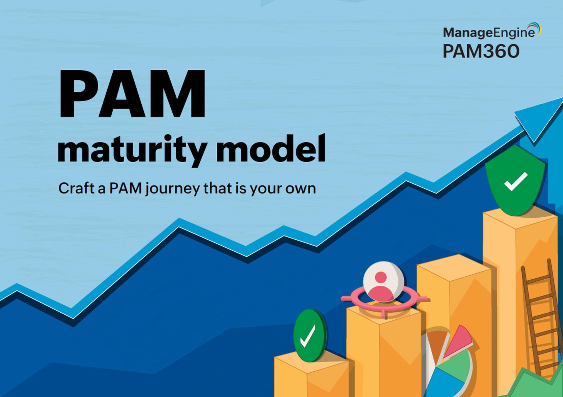 An all-encompassing, objective approach to PAM maturity