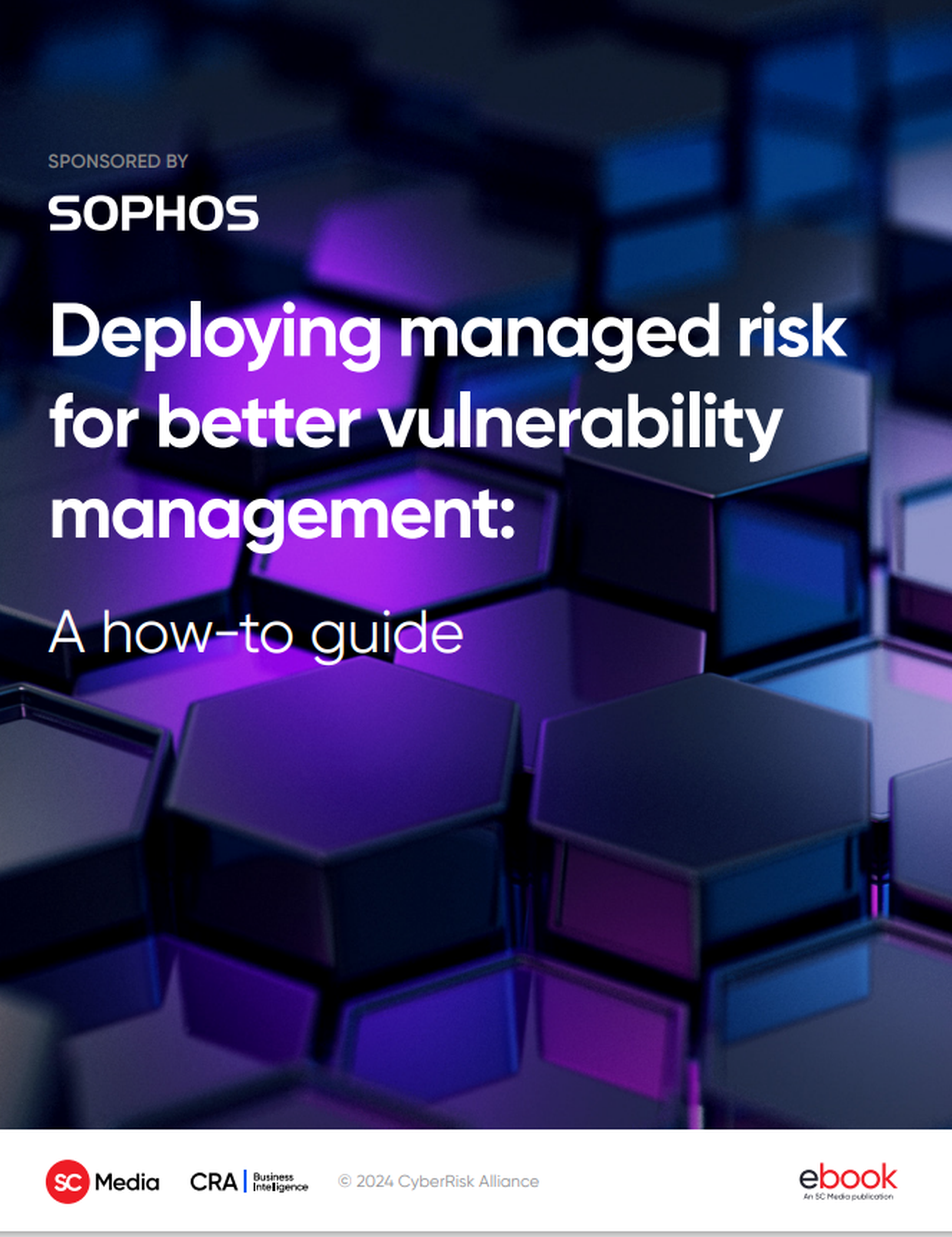 Deploying Managed Risk for Better Vulnerability Management: A How-to Guide