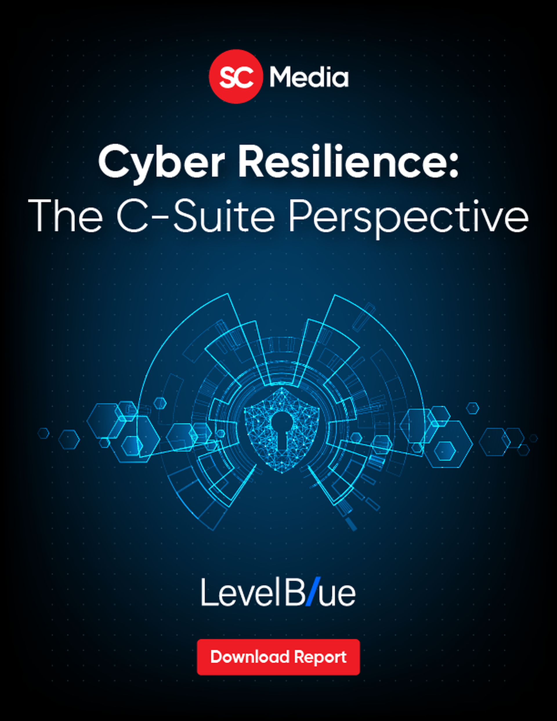 Cyber Resilience: The C-Suite Perspective