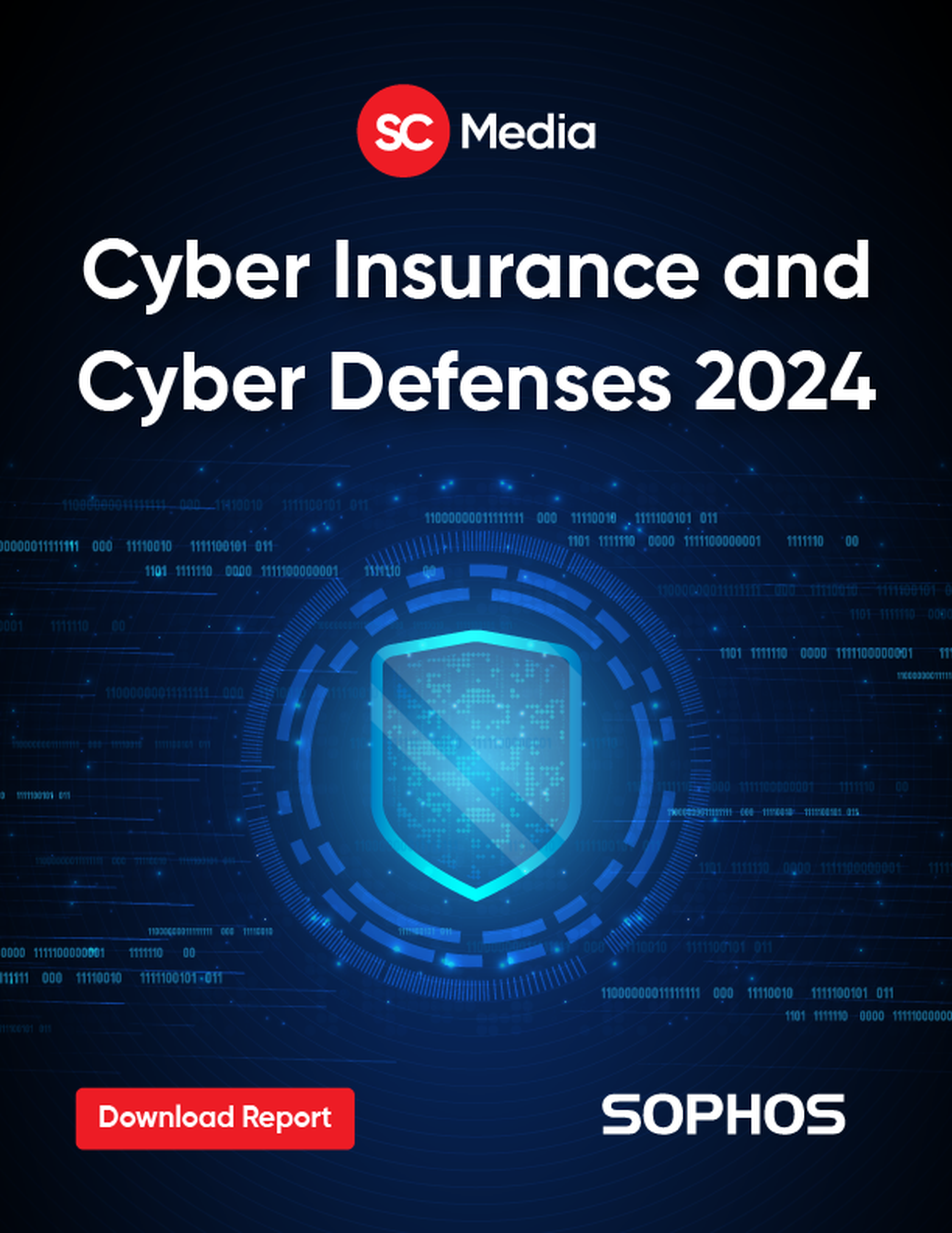 Cyber Insurance and Cyber Defenses 2024