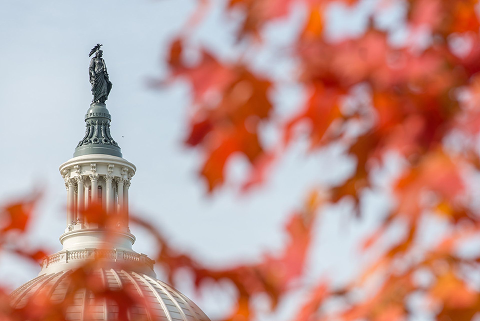 capitol building dome close up in autumn