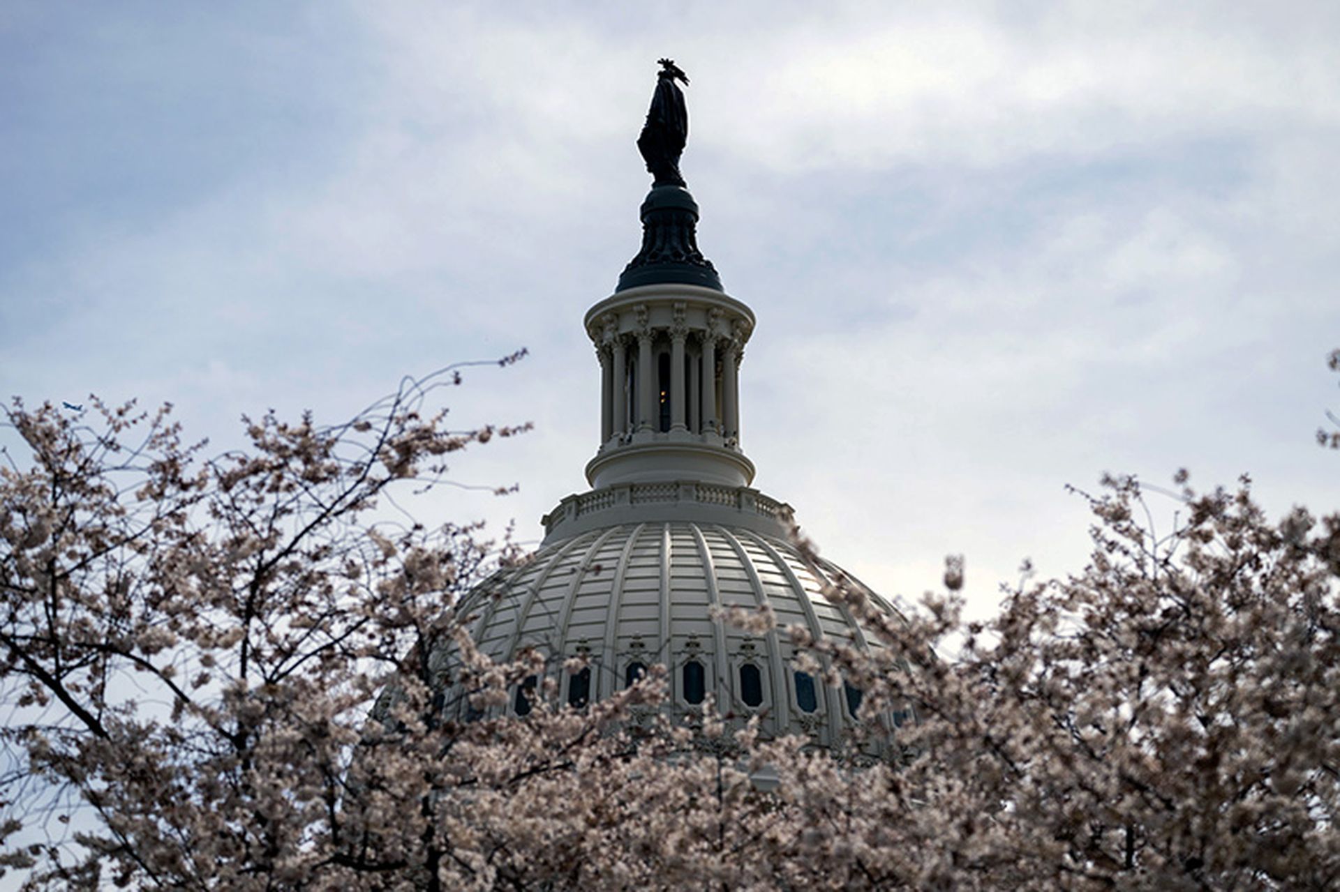US Capitol Dome