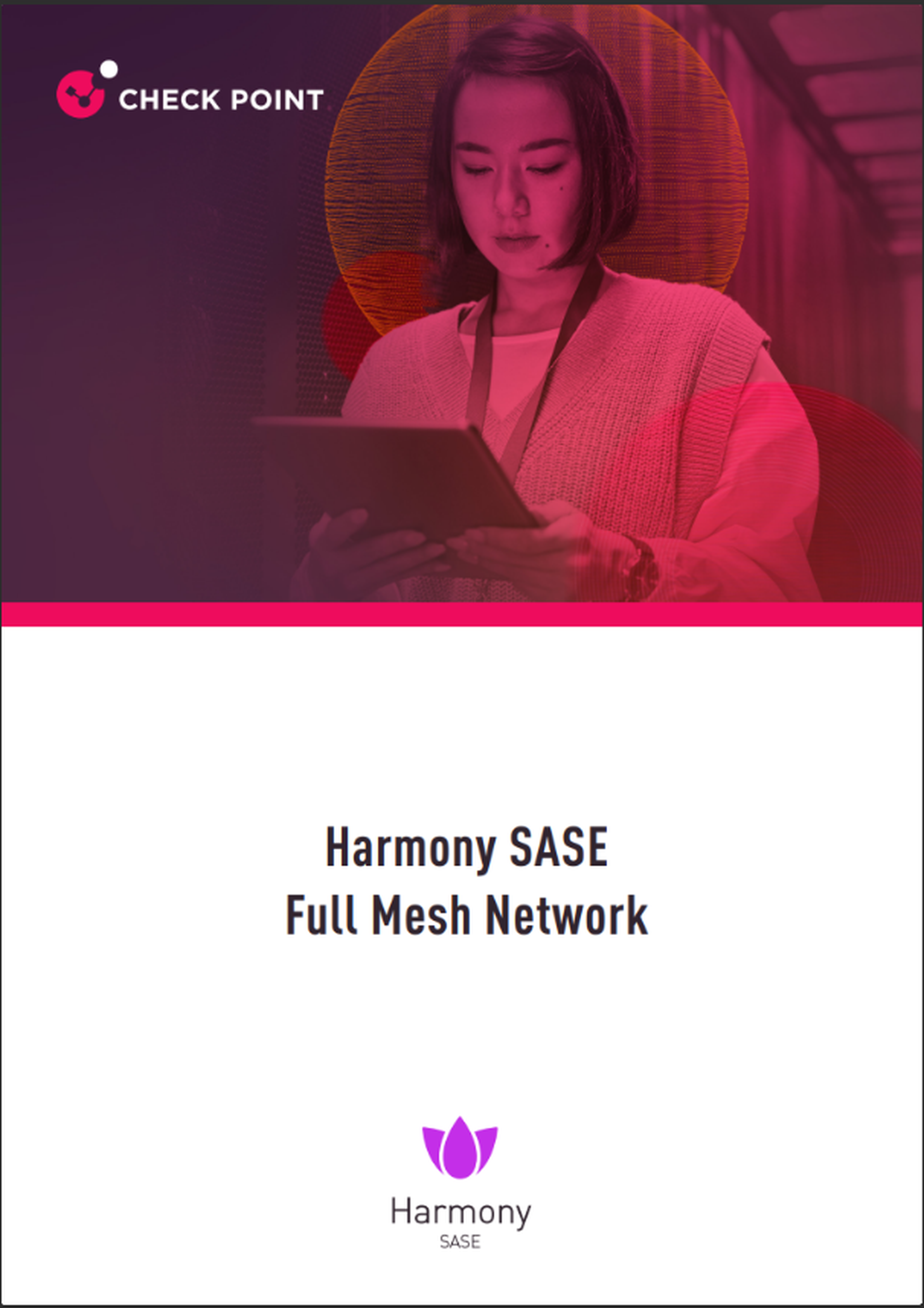 Harmony SASE Full Mesh Network