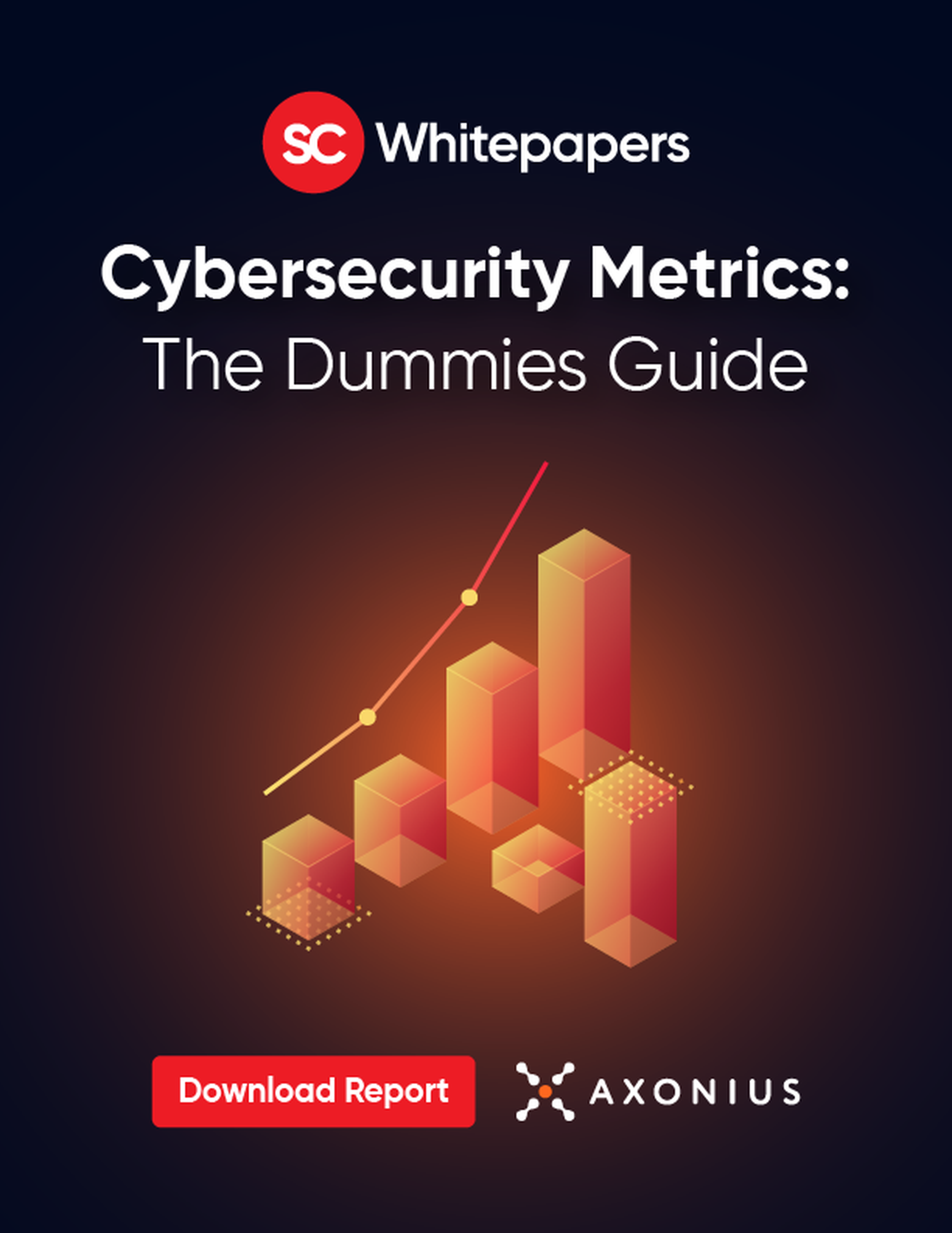 Cybersecurity Metrics: the Dummies Guide