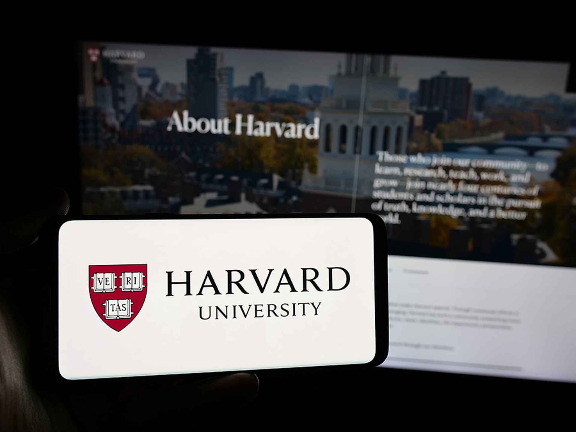 Person holding smartphone with logo of US research institution Harvard University on screen in front of website. Focus on phone display.