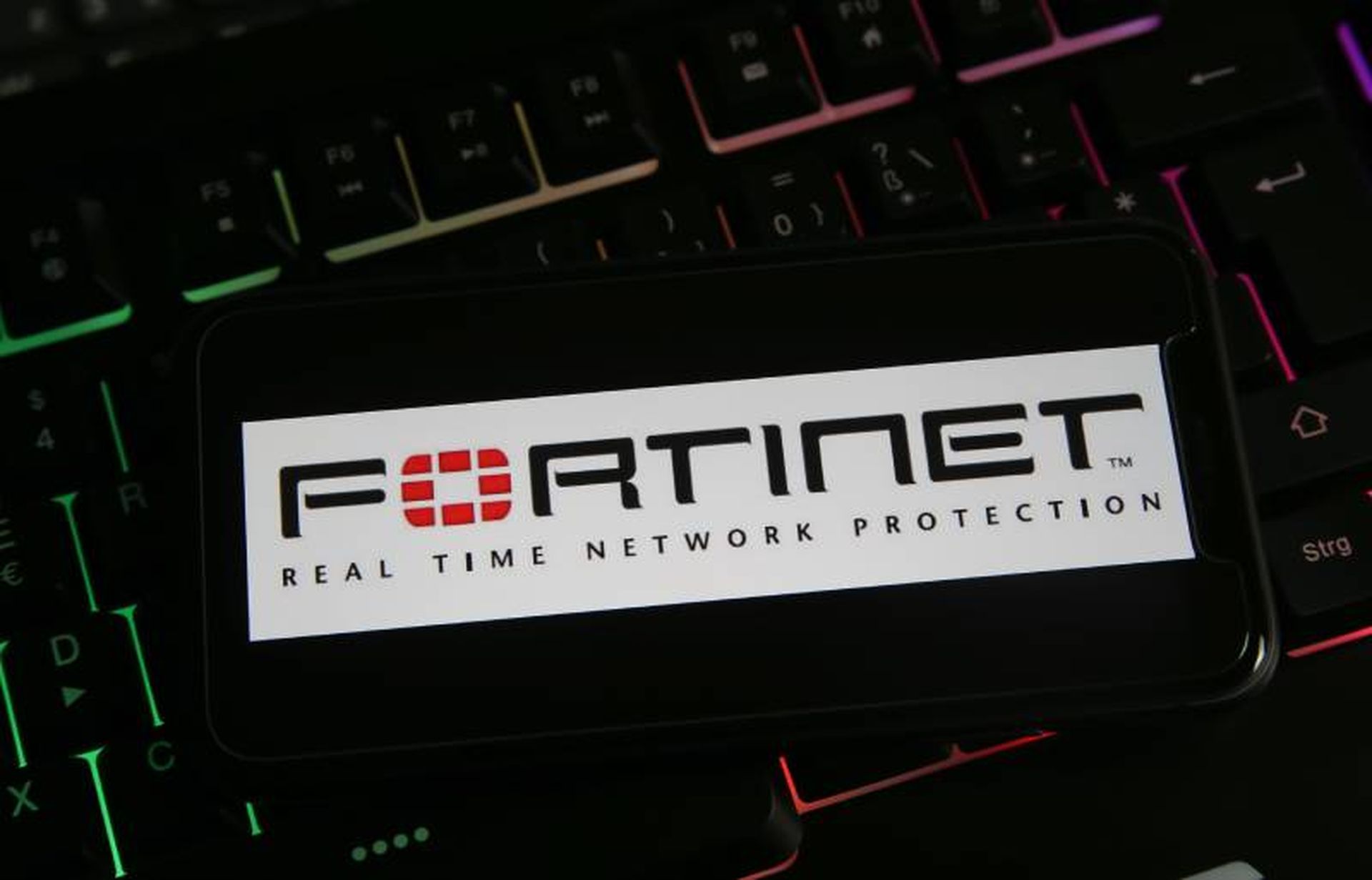(Credit: Ralf – stock.adobe.com)