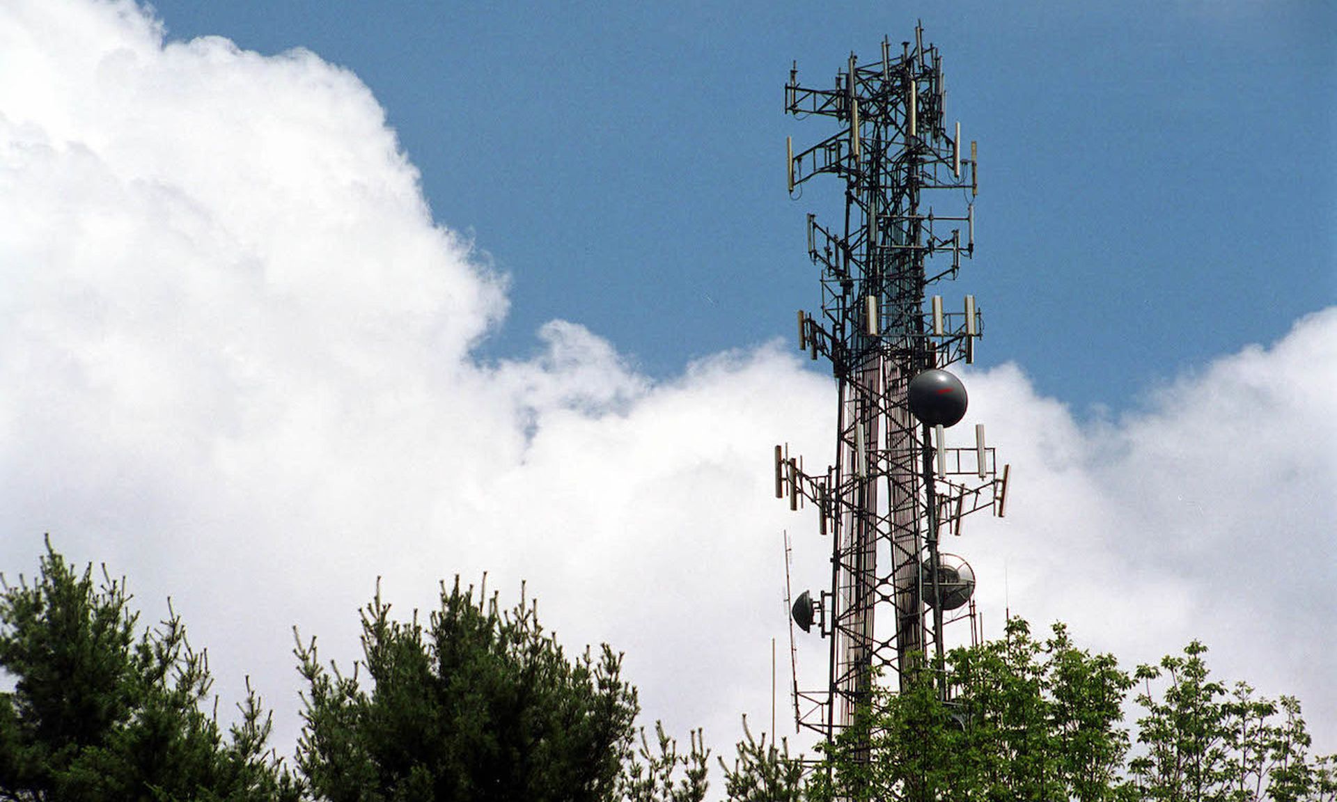 A cell phone tower rises above the trees in Sudbury, Massachusetts. A trio of hacking clusters tied to China have been mimicking Hafnium and attacking telecommunications firms in Asia in part with the same Exchange server vulnerabilities. (Darren McCollester/Getty Images)