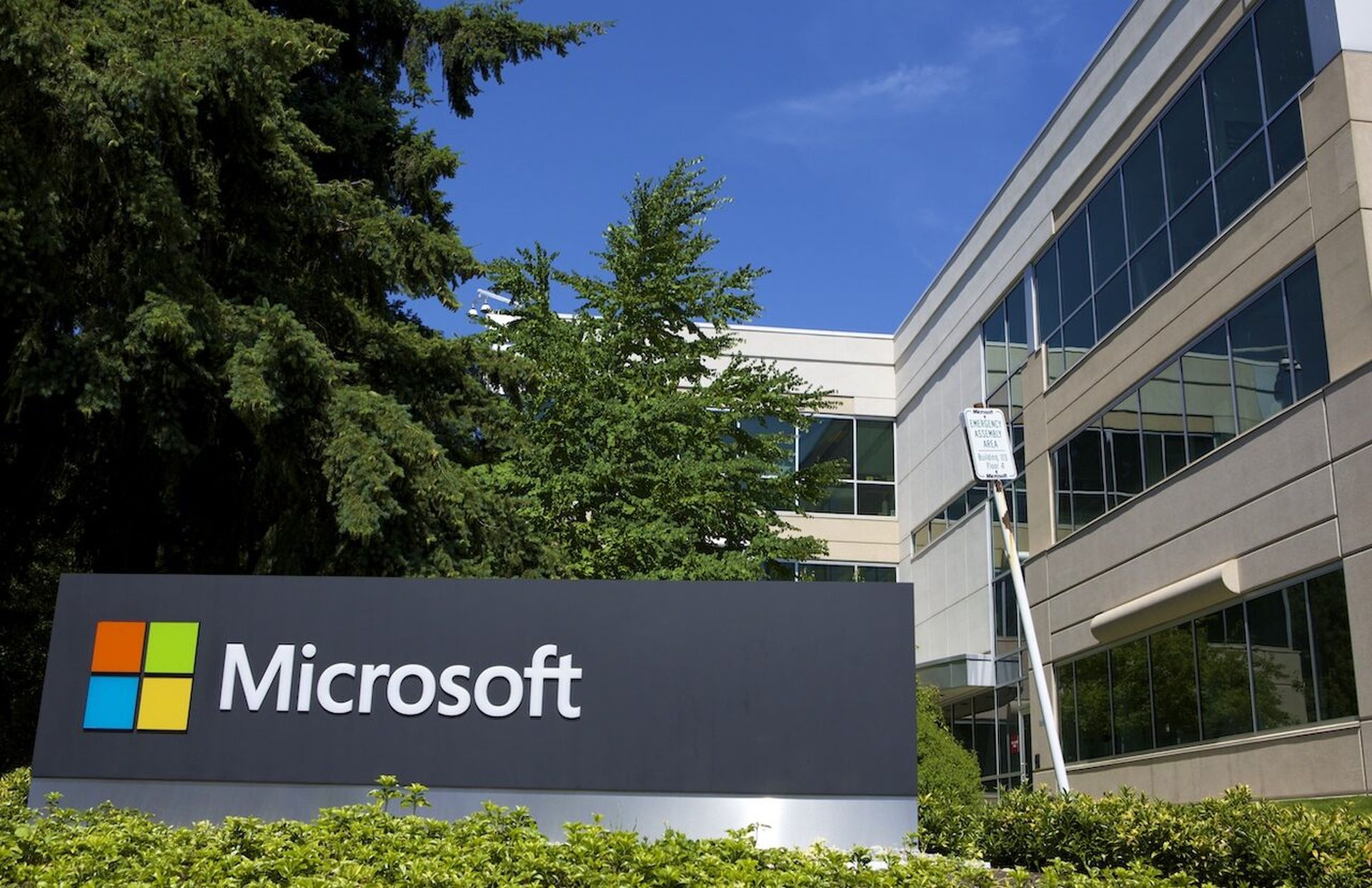 Today’s columnist, Perry Carpenter of KnowBe4, says hackers leverage the “Halo Effect” to impersonate reputable brands like Microsoft. (Stephen Brashear/Getty Images)