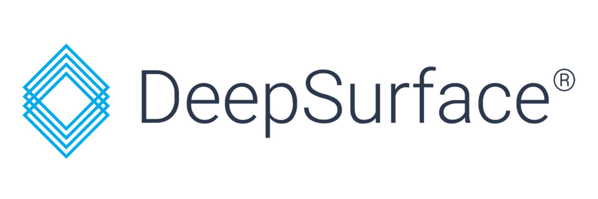 Deep Surface logo