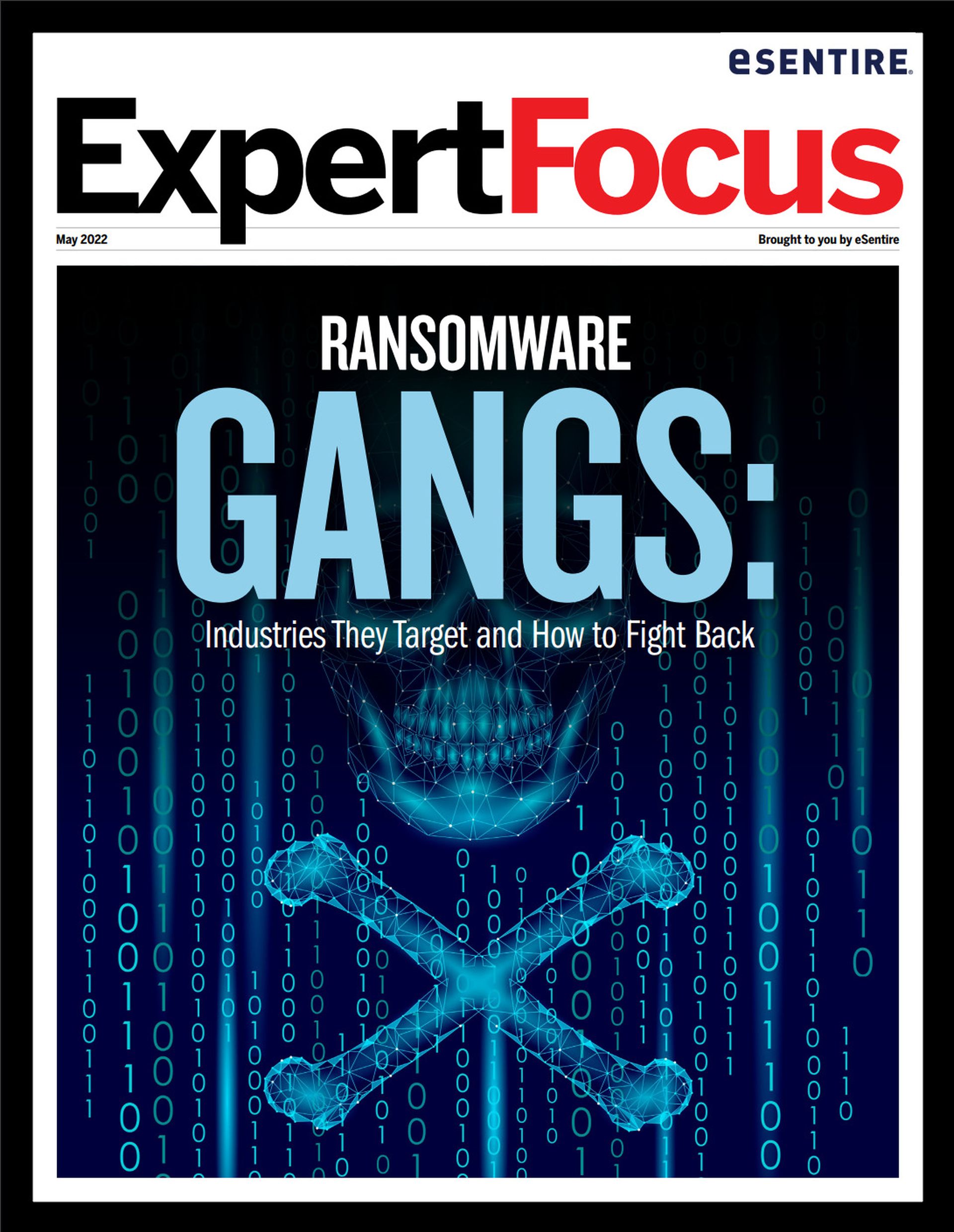 Ransomware Gangs, Industries They Target and How to Fight Back