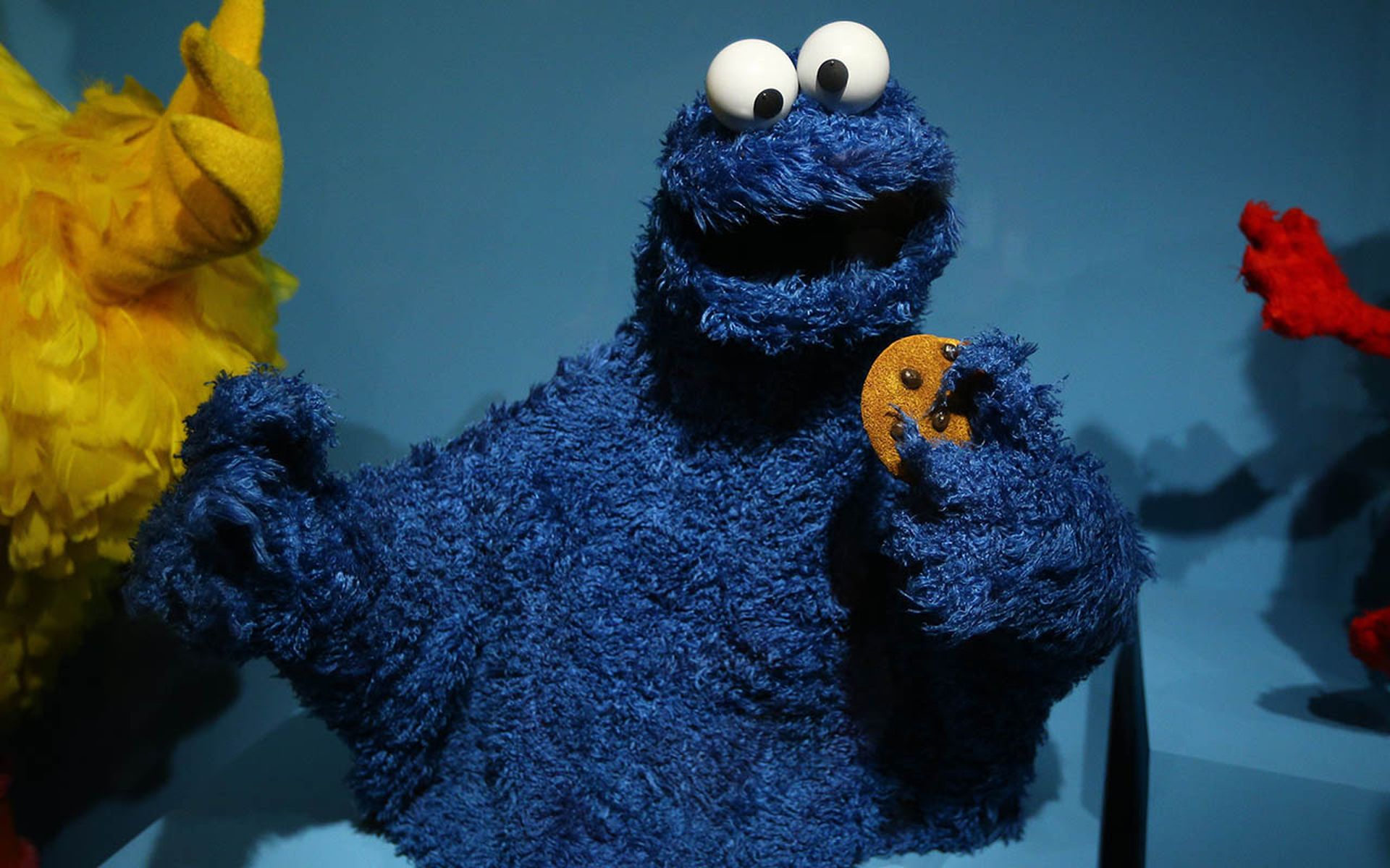 Cookie Monster muppet