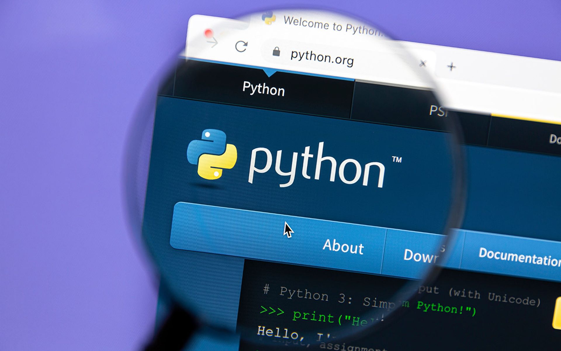 Python website.