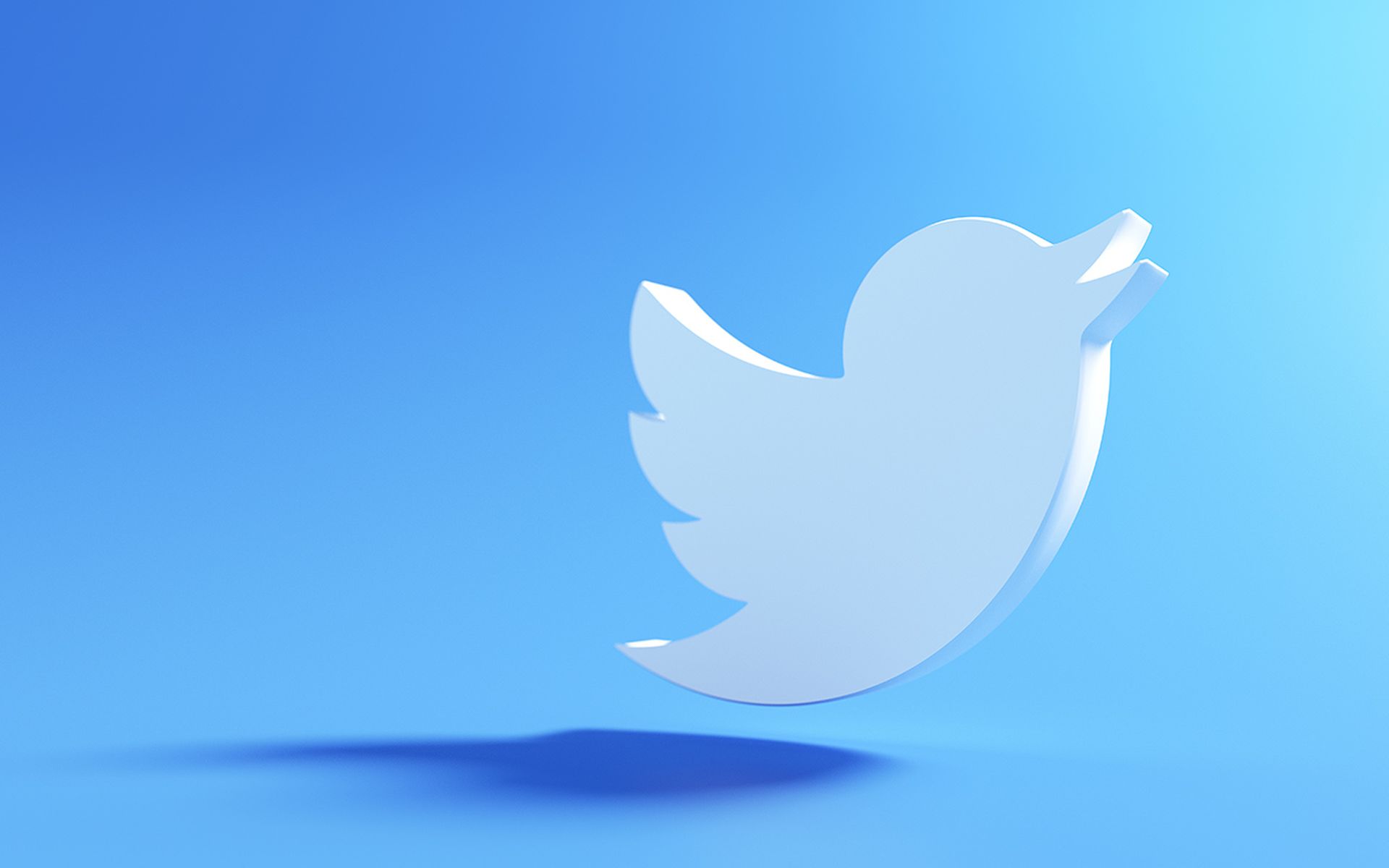 3D twitter logo on blue background, social media application. 3d render illustration