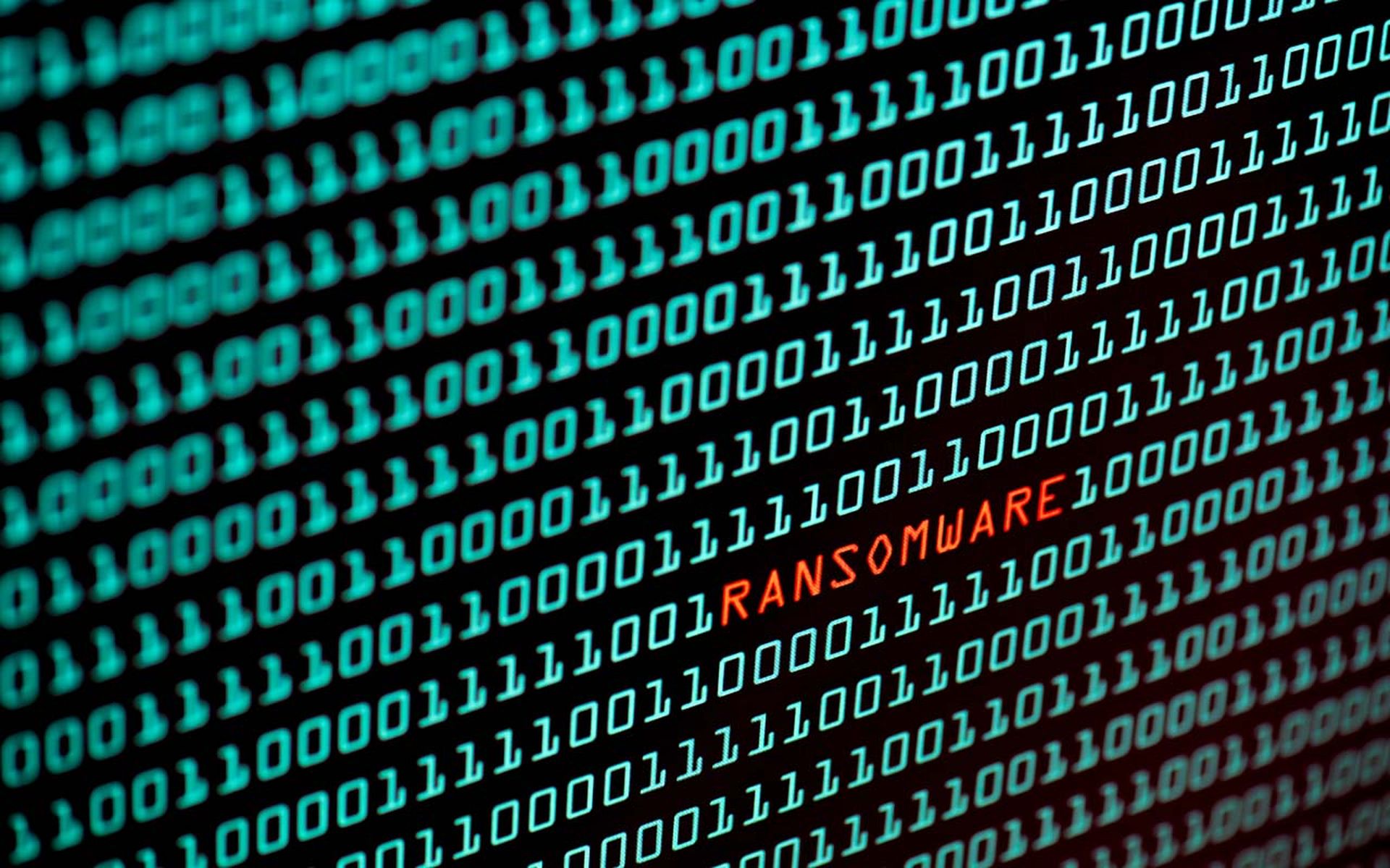 RansomwareRansomware or Wannacry text and binary code concept from the desktop screen.