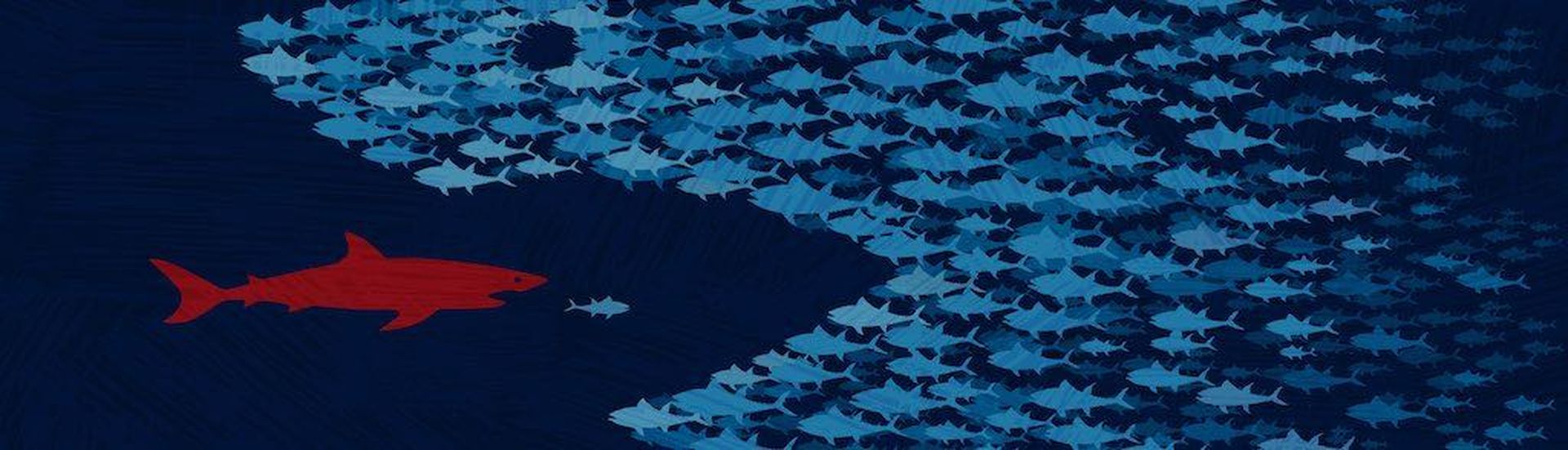 School of little blue fishes come together and join forces to overcome and eat red shark. Survival through working together to save democracy. United we stand, divided we fall. Fighting against racism, voter suppression and corruption. Teamwork concep