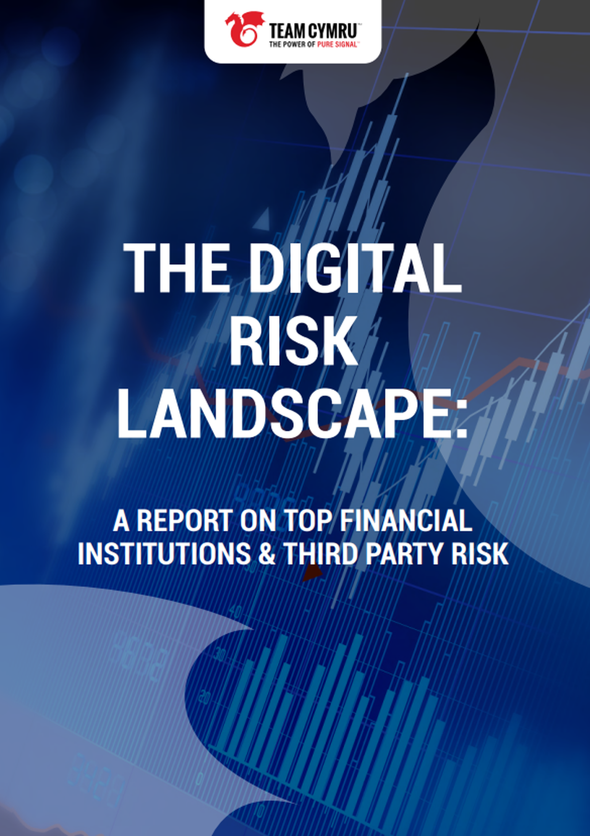 The Digital Risk Landscape: A Report on Top Financial Institutions & Third Party Risk